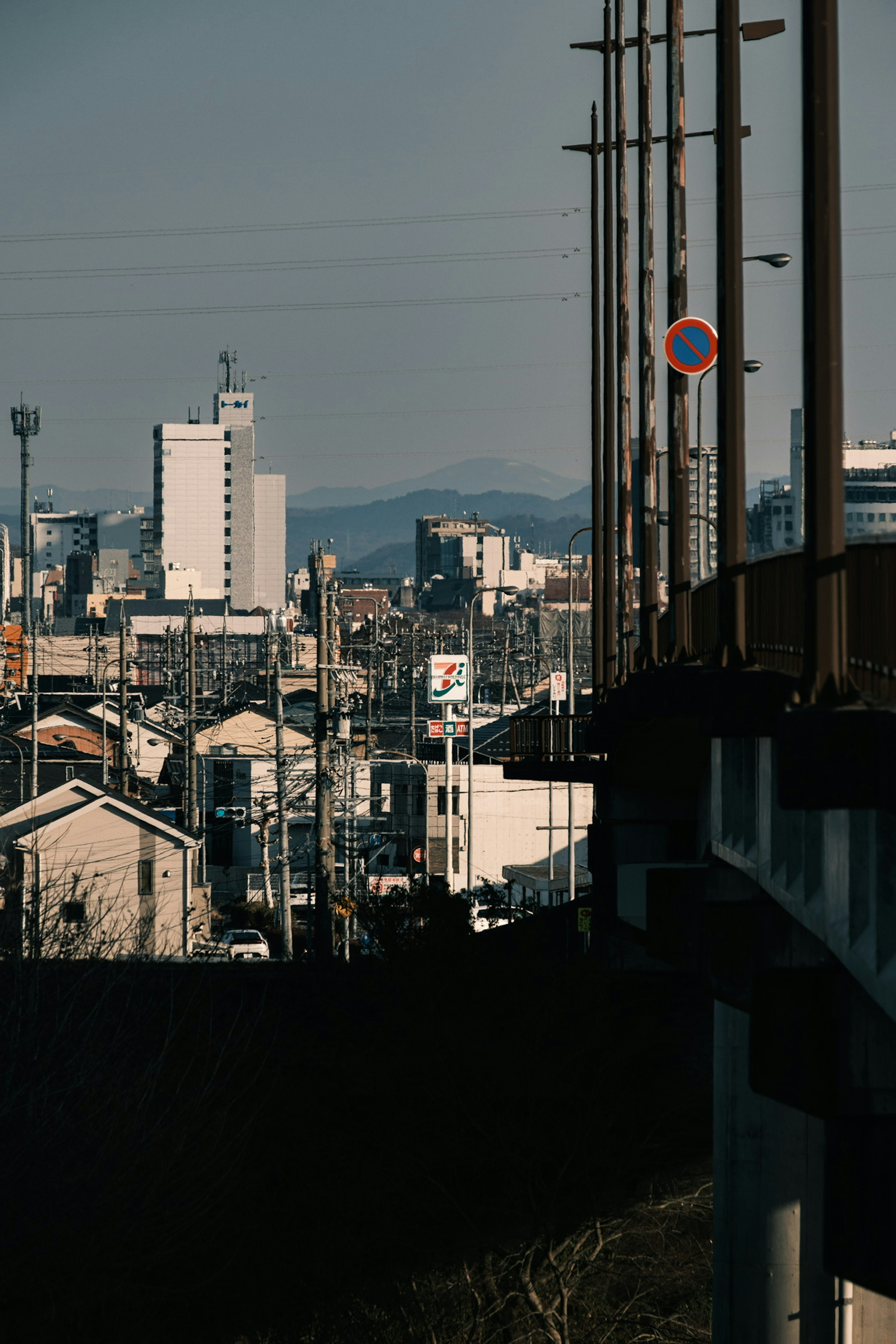 都市の景色と高架の鉄道が見える