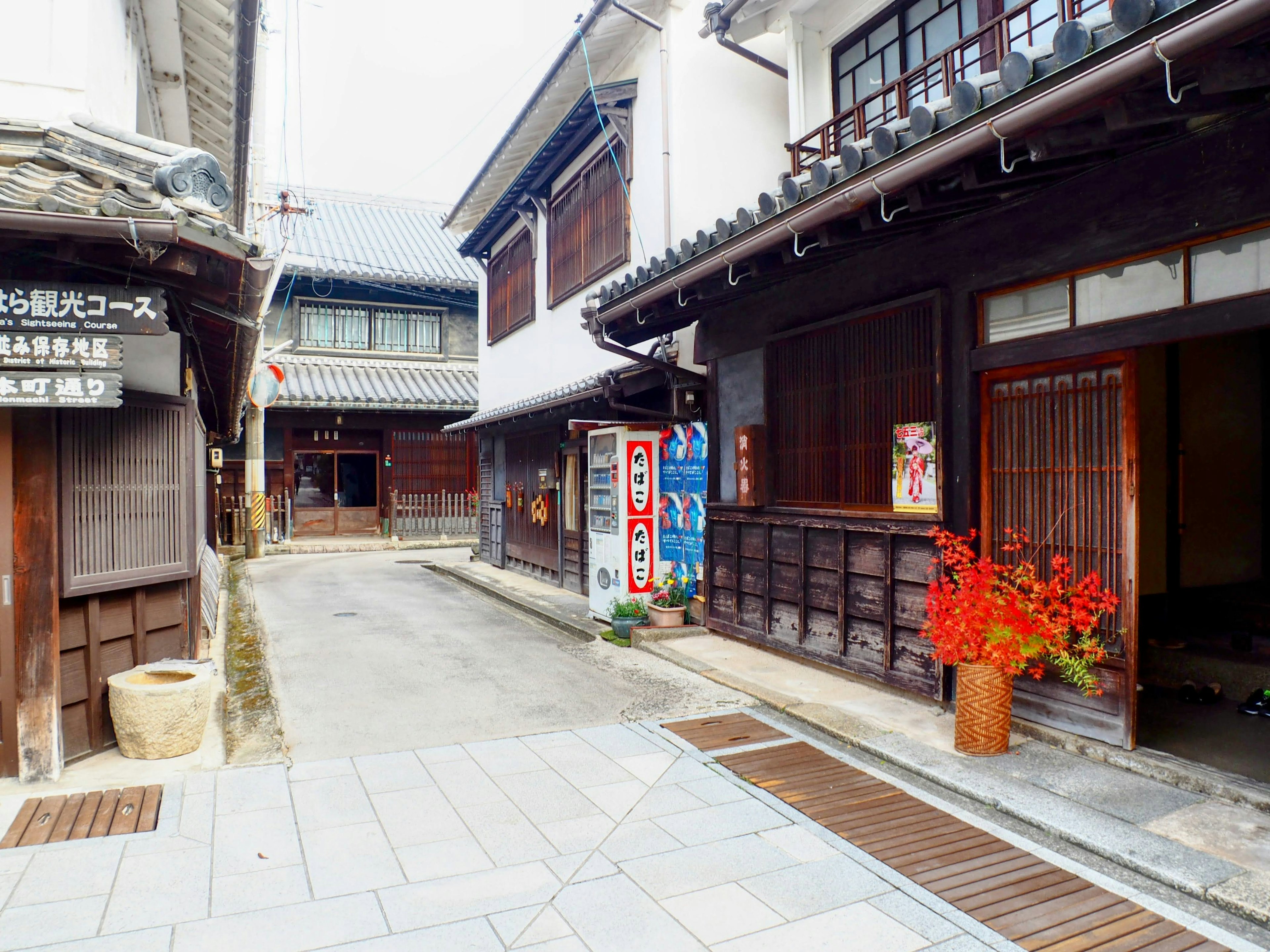 Narrow alleyway showcasing traditional Japanese architecture and vibrant flower pots