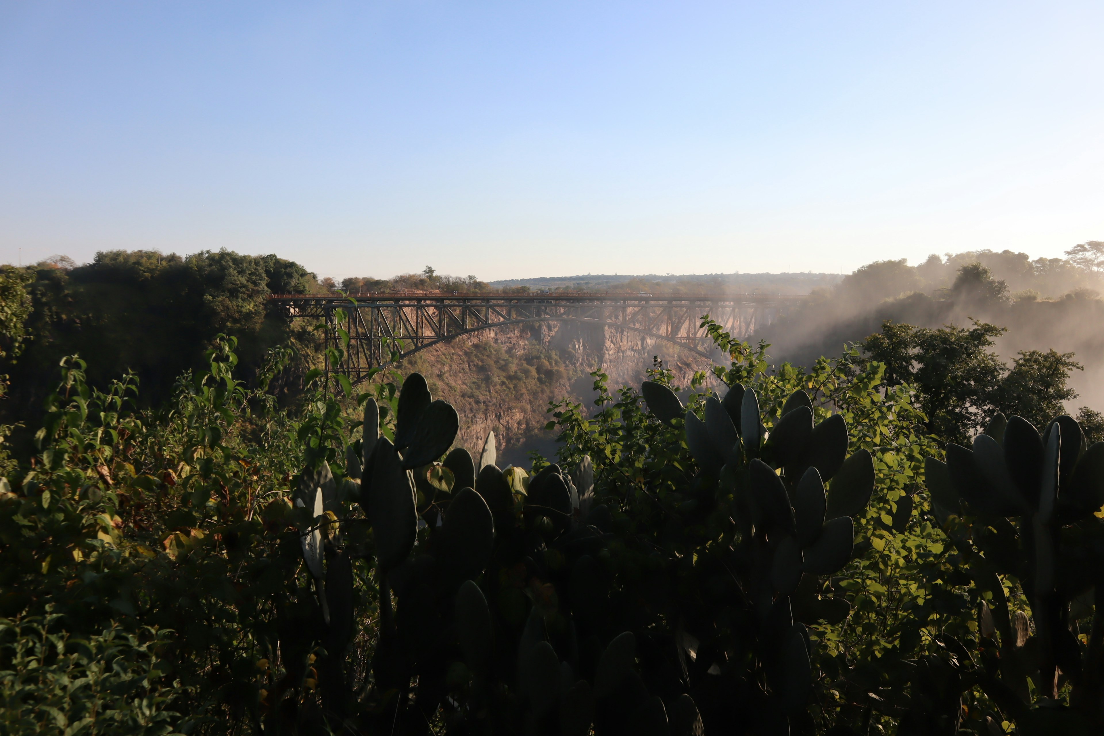 Üppige Vegetation mit Kliffansicht im Nebel