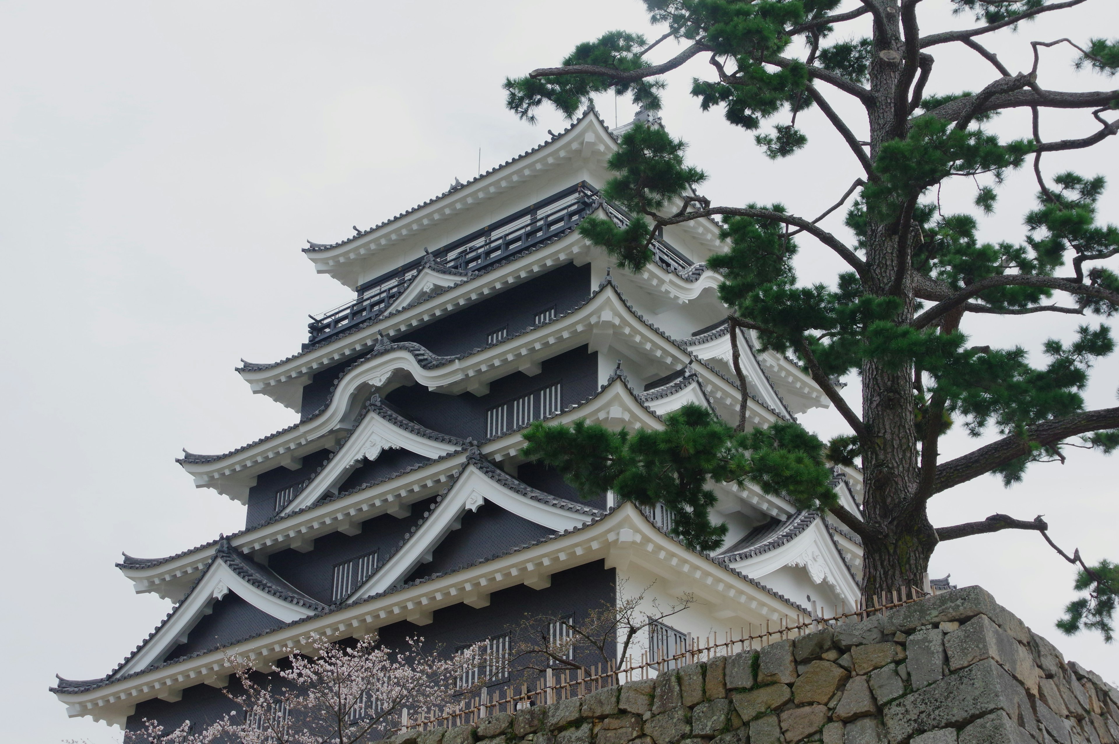 A black and white castle stands atop a stone wall with a cherry blossom tree nearby