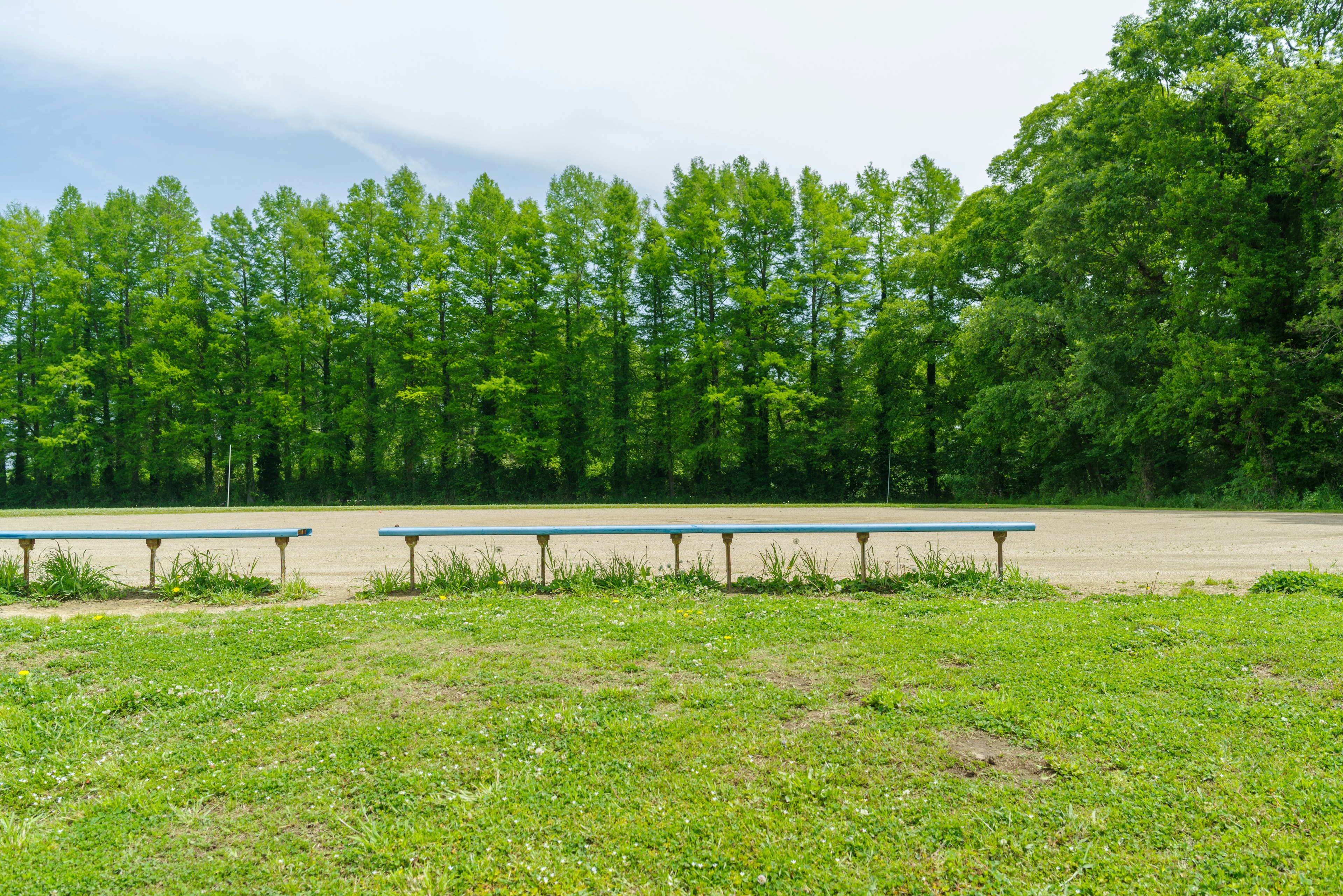 Banc dans un champ ouvert entouré d'arbres verts