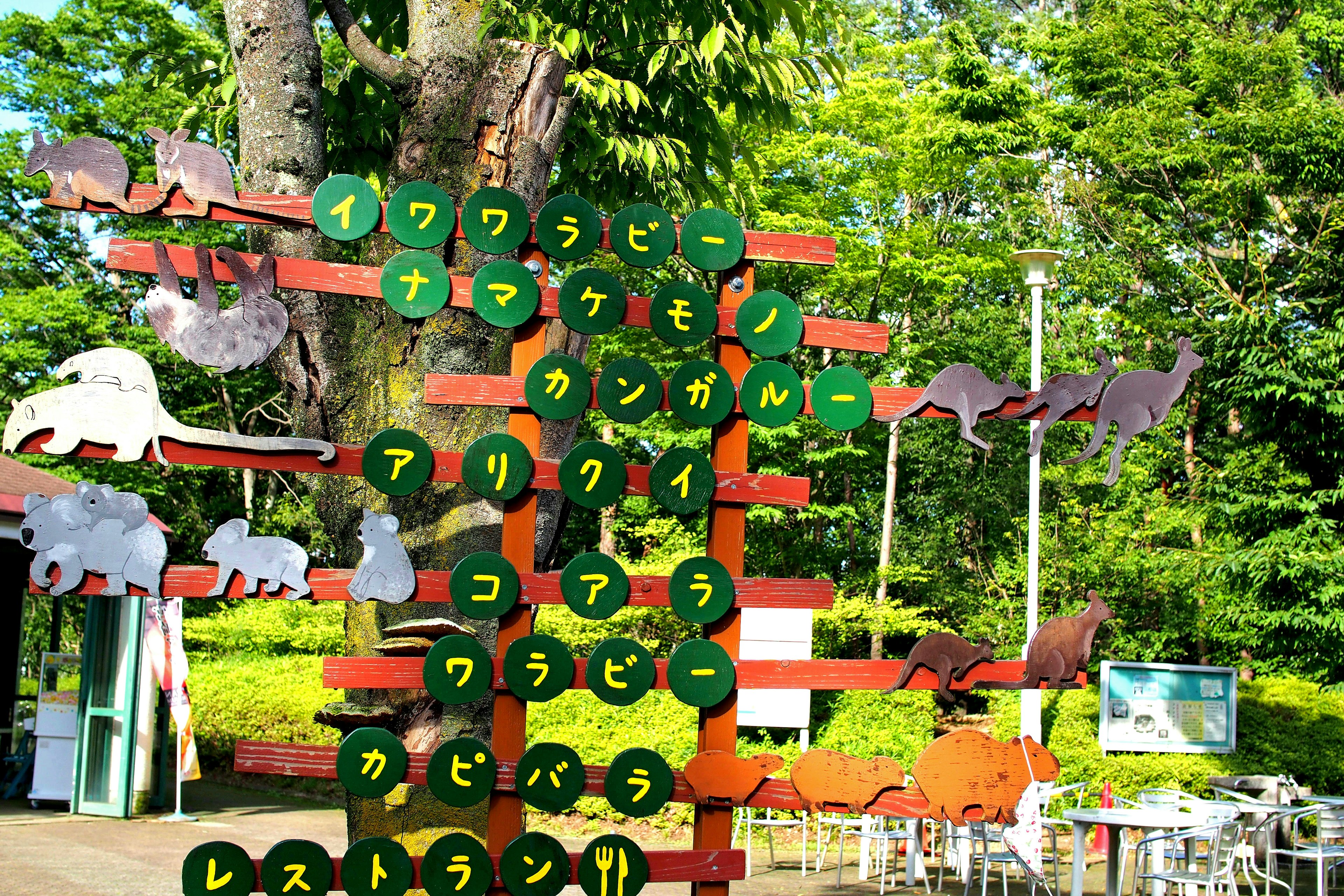 Colorful signboard with animal names against a green background