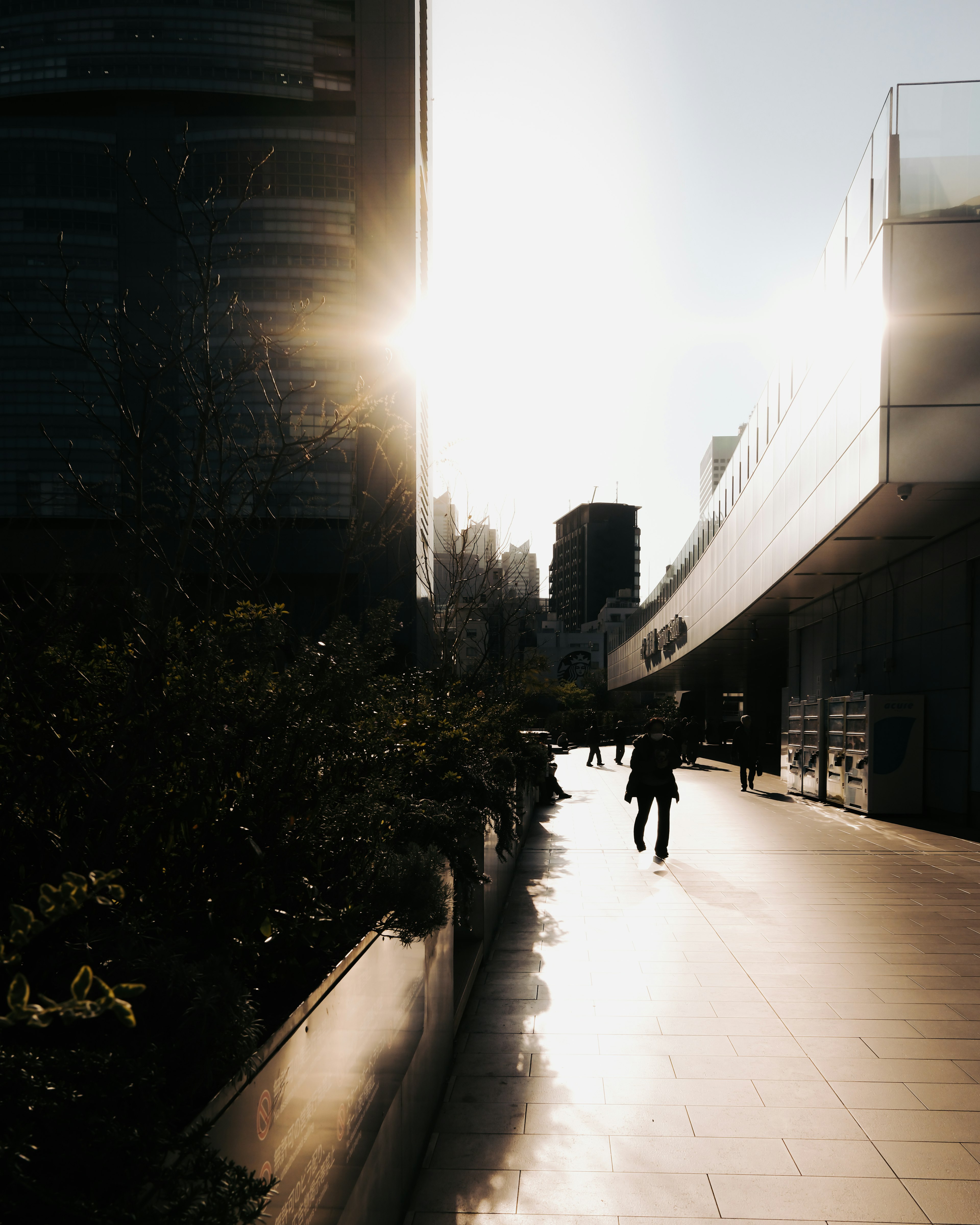 People walking on a city street with sunlight shining