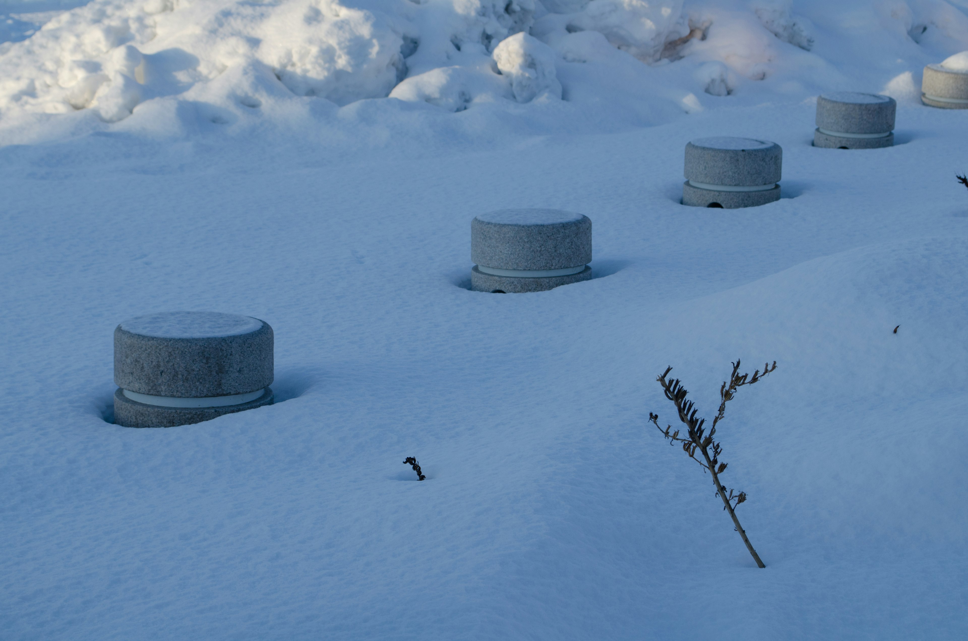 Concrete circular structures partially buried in snow with a dried plant