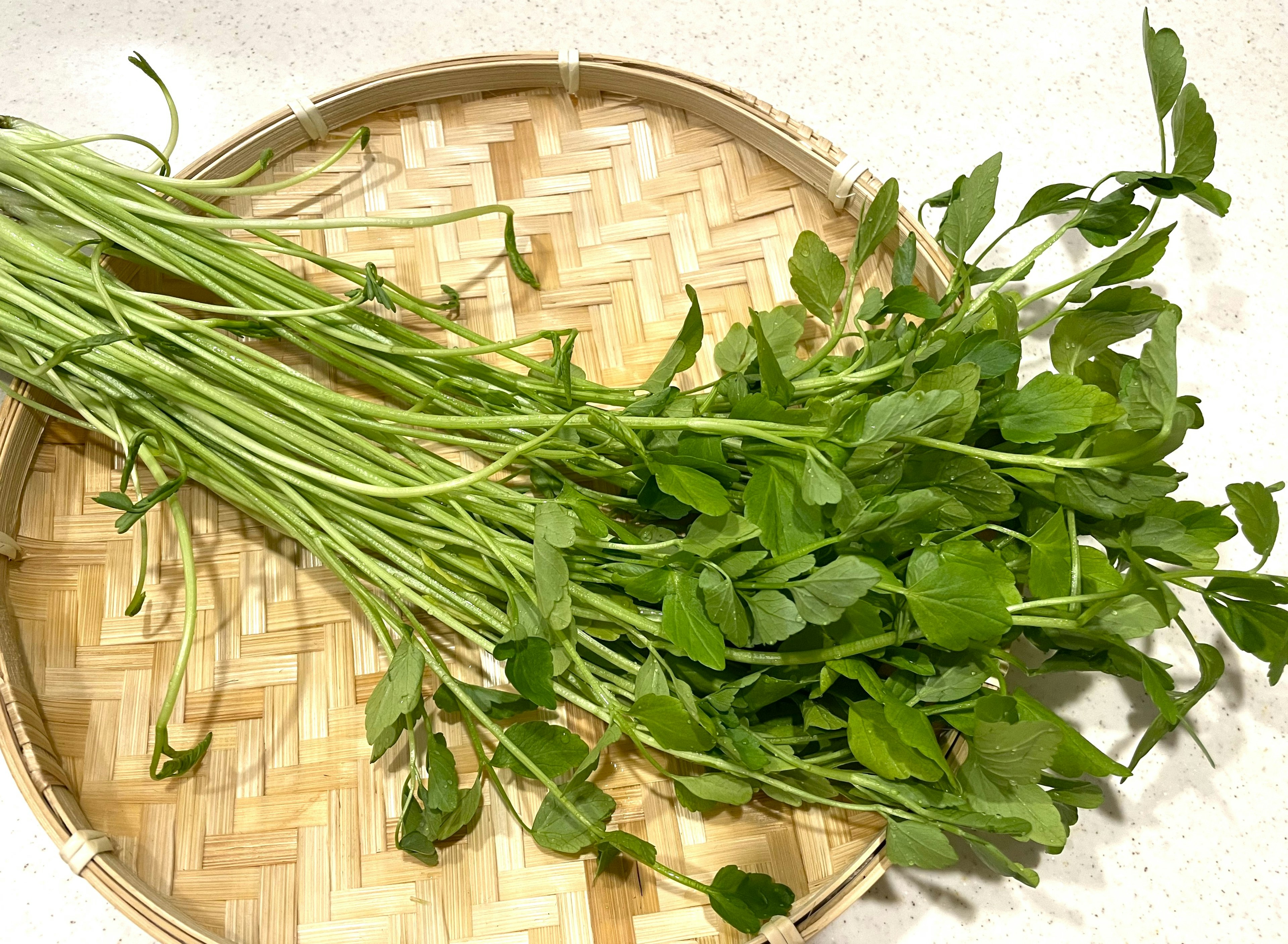 Herbes vertes fraîches placées sur un panier tressé