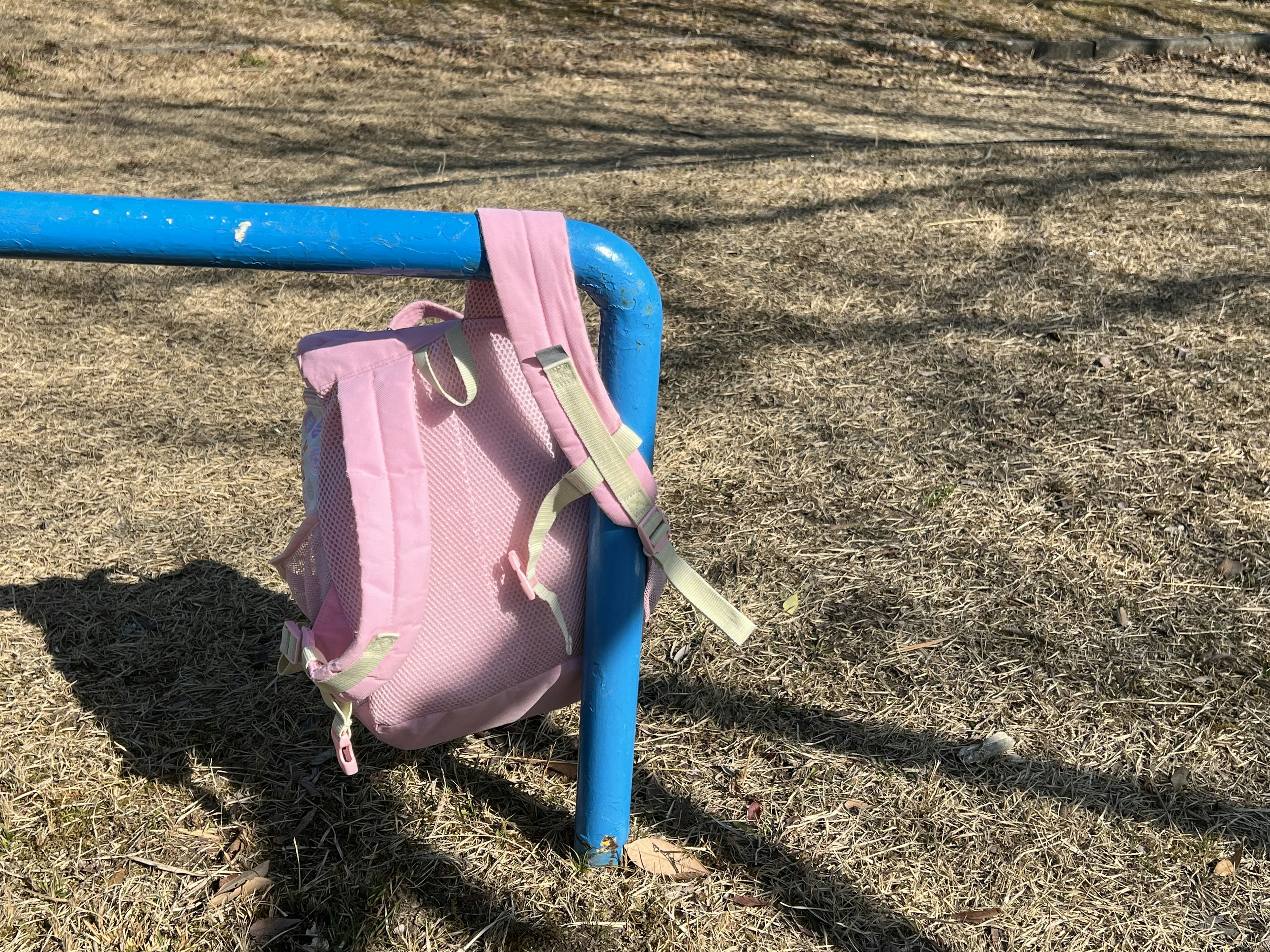 Pink backpack hanging on a blue metal bar