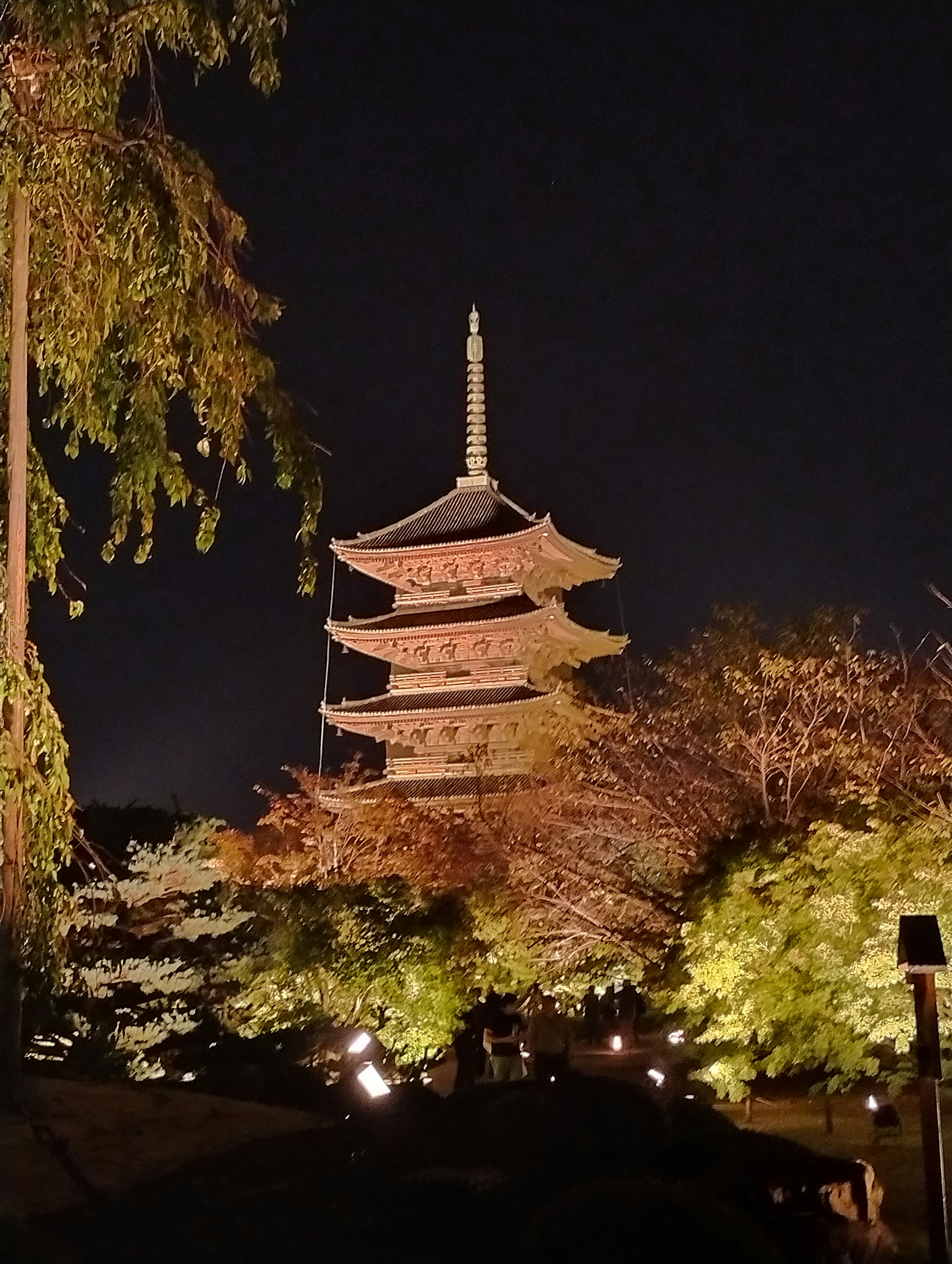 Beautifully illuminated five-story pagoda at night surrounded by trees