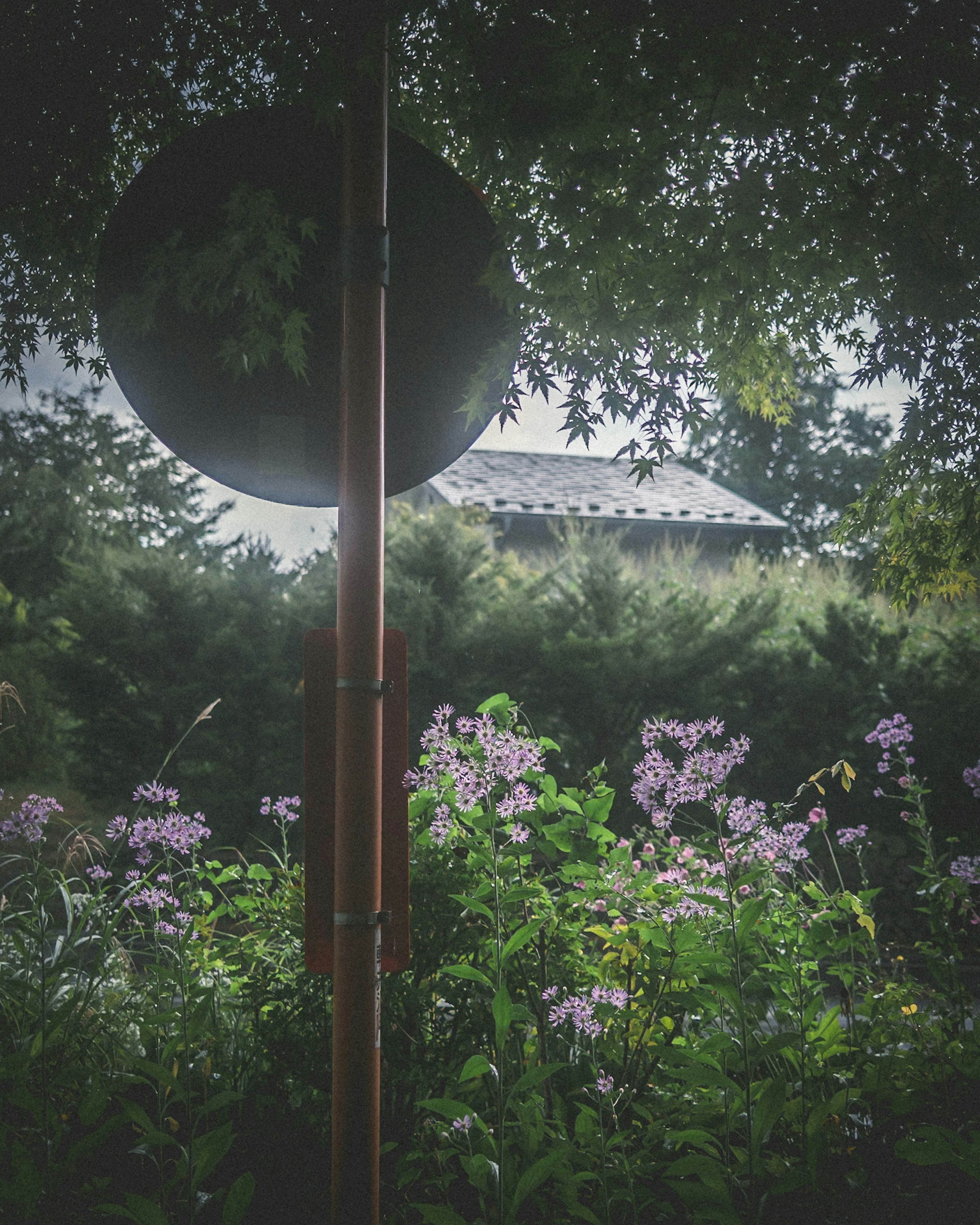 Tetto di casa visibile tra fiori e alberi