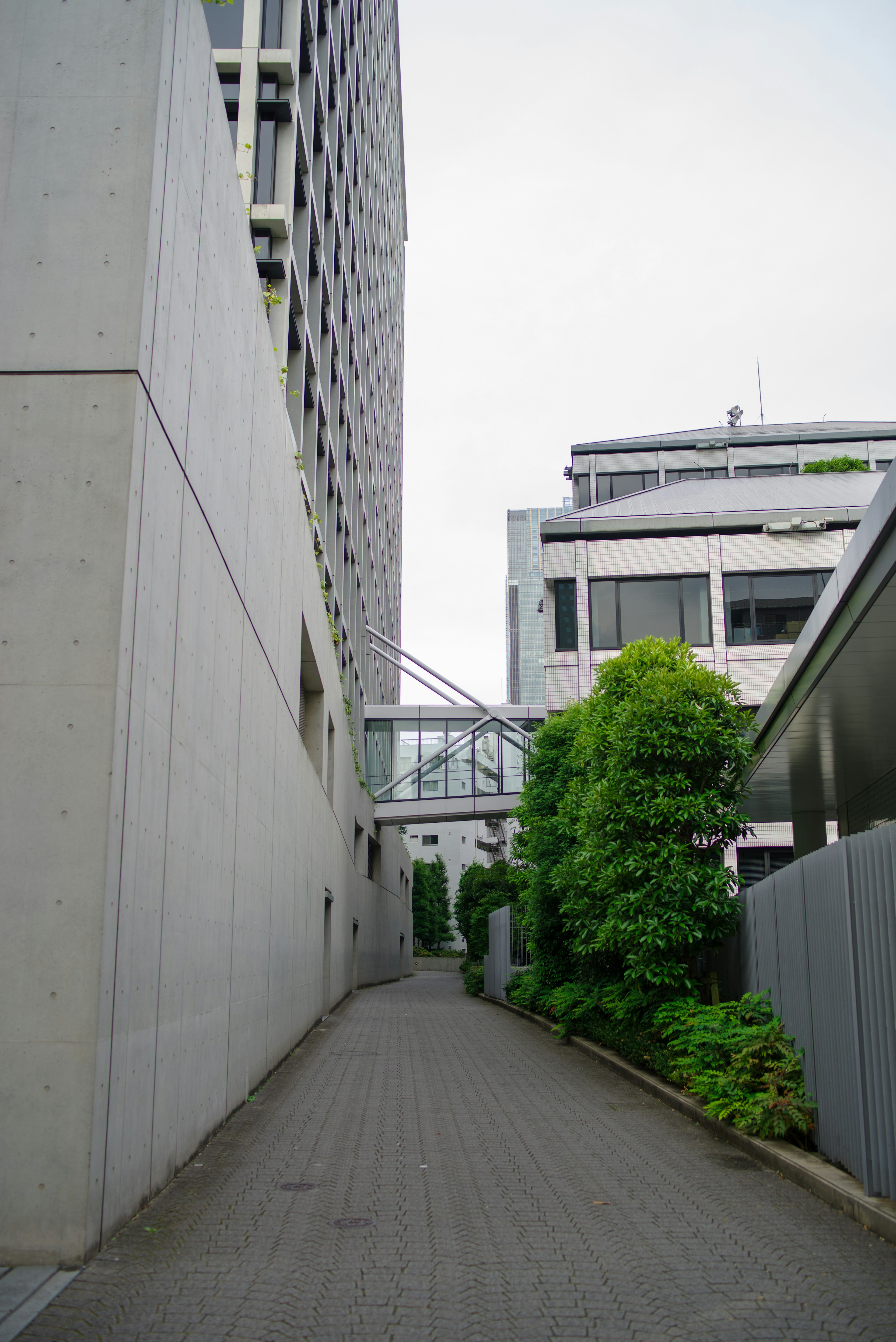 Lorong sempit yang dikelilingi dinding beton menuju area hijau