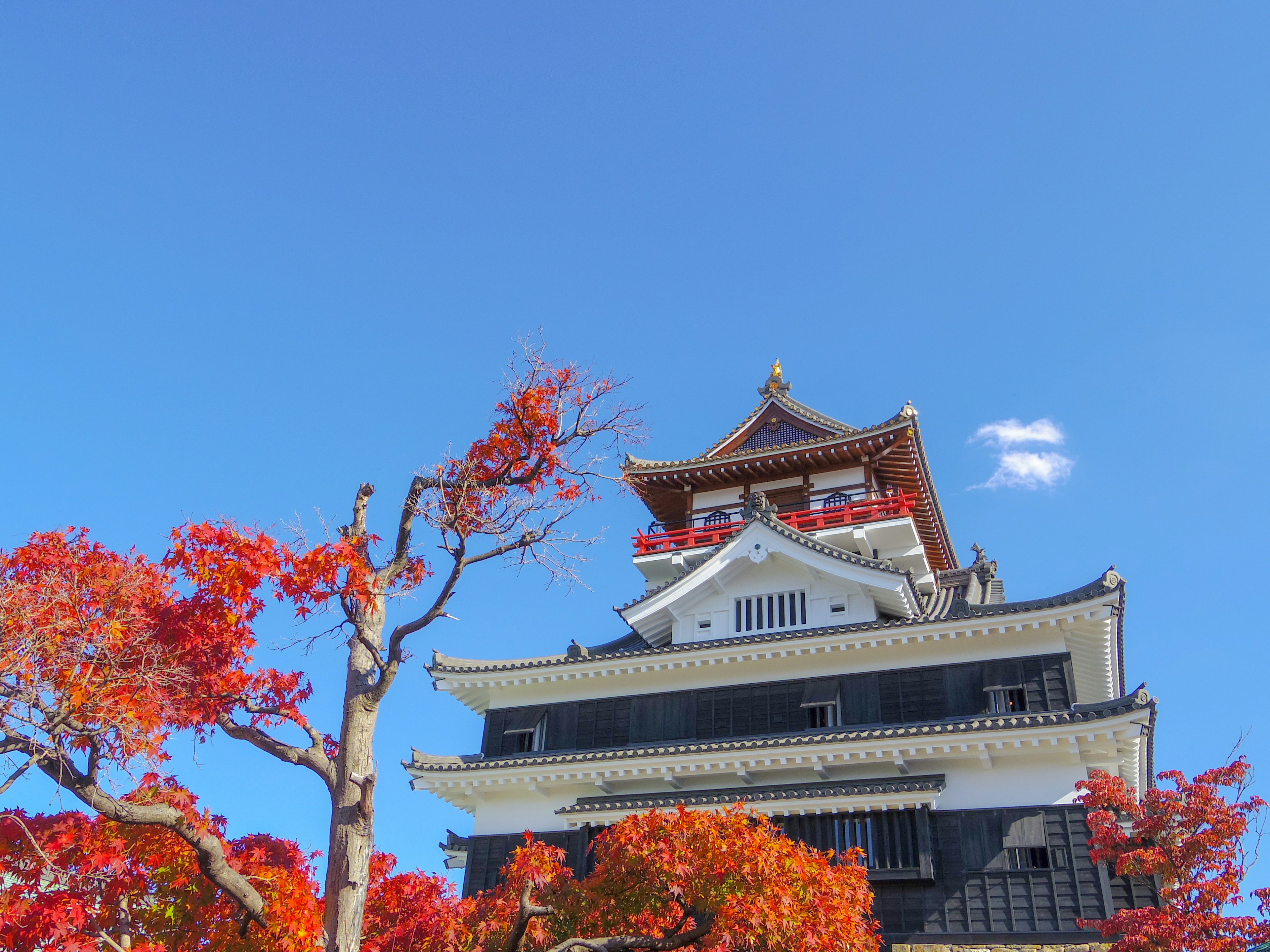 Traditional Japanese castle under autumn foliage and blue sky