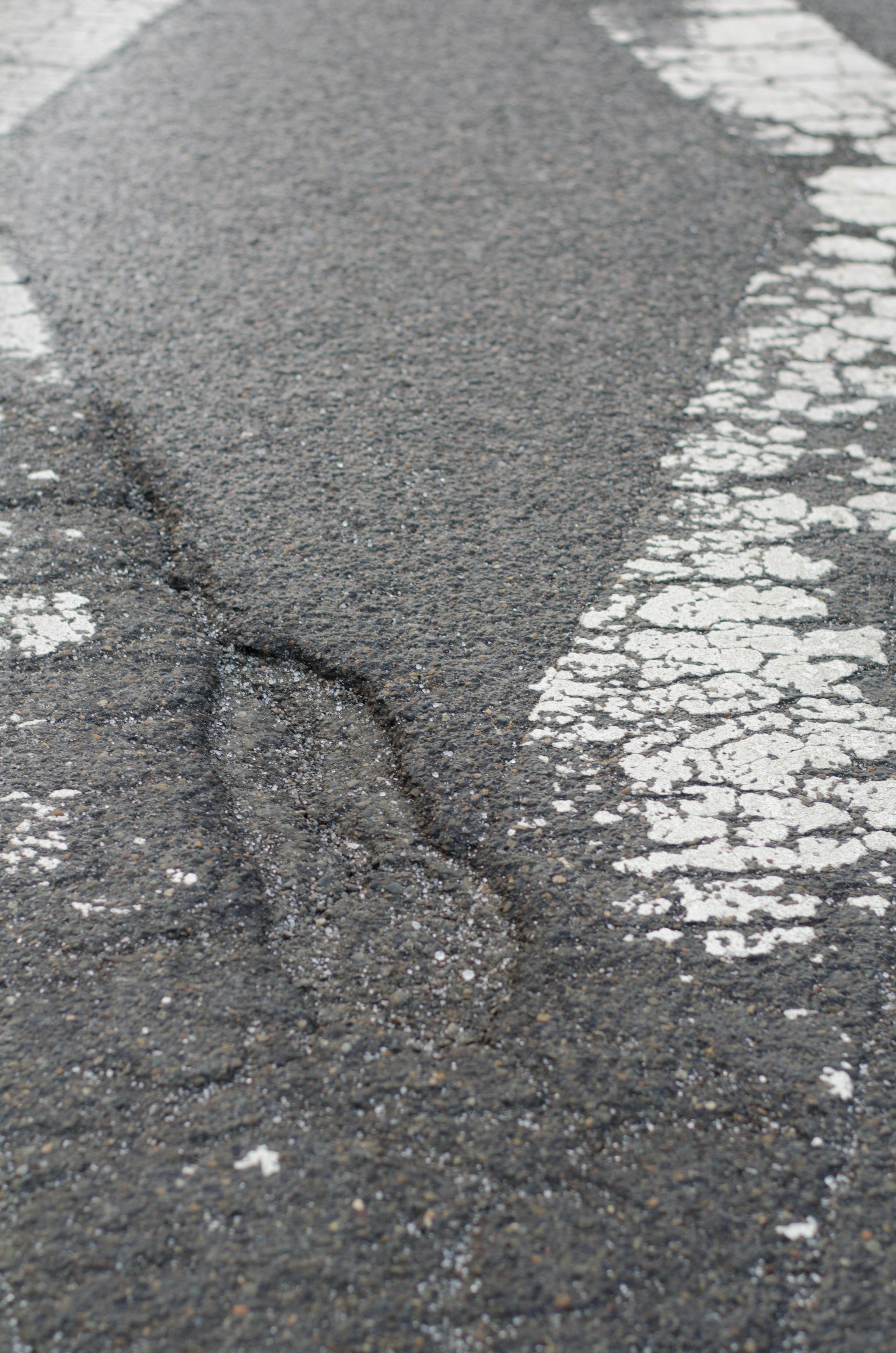 Gros plan sur l'asphalte montrant une fissure et une ligne blanche