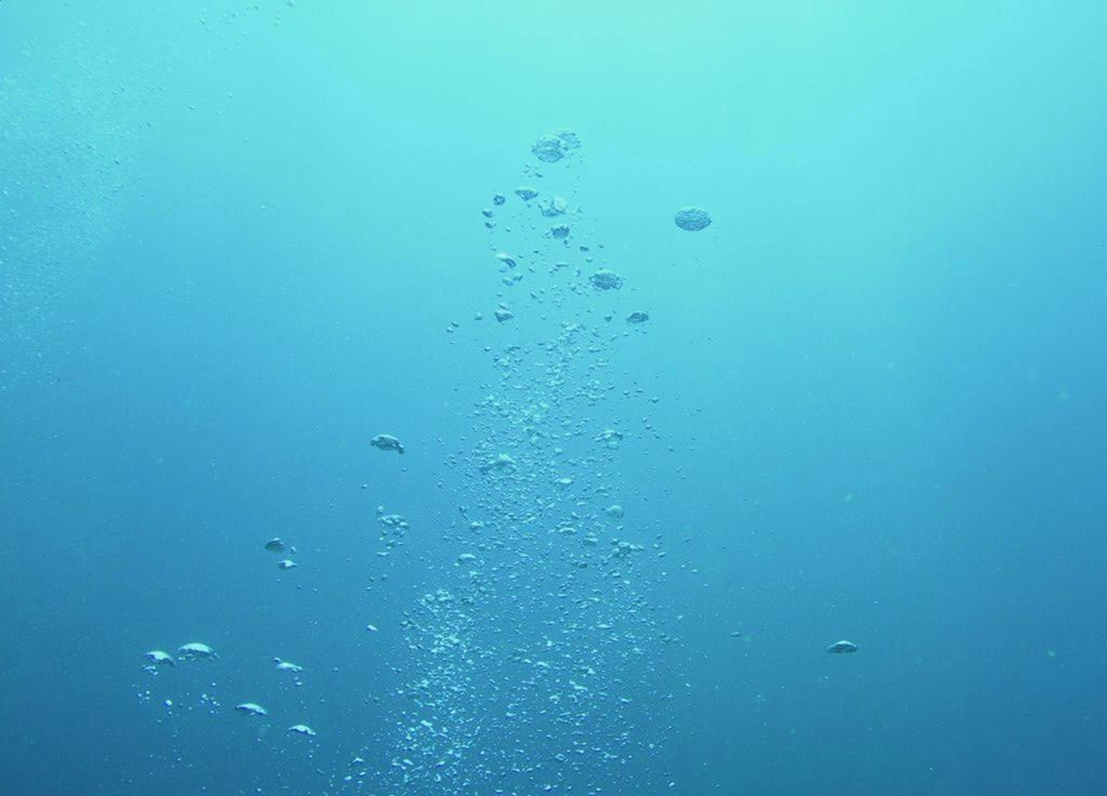 Blasen und Fische schwimmen in einer blauen Unterwasserszene