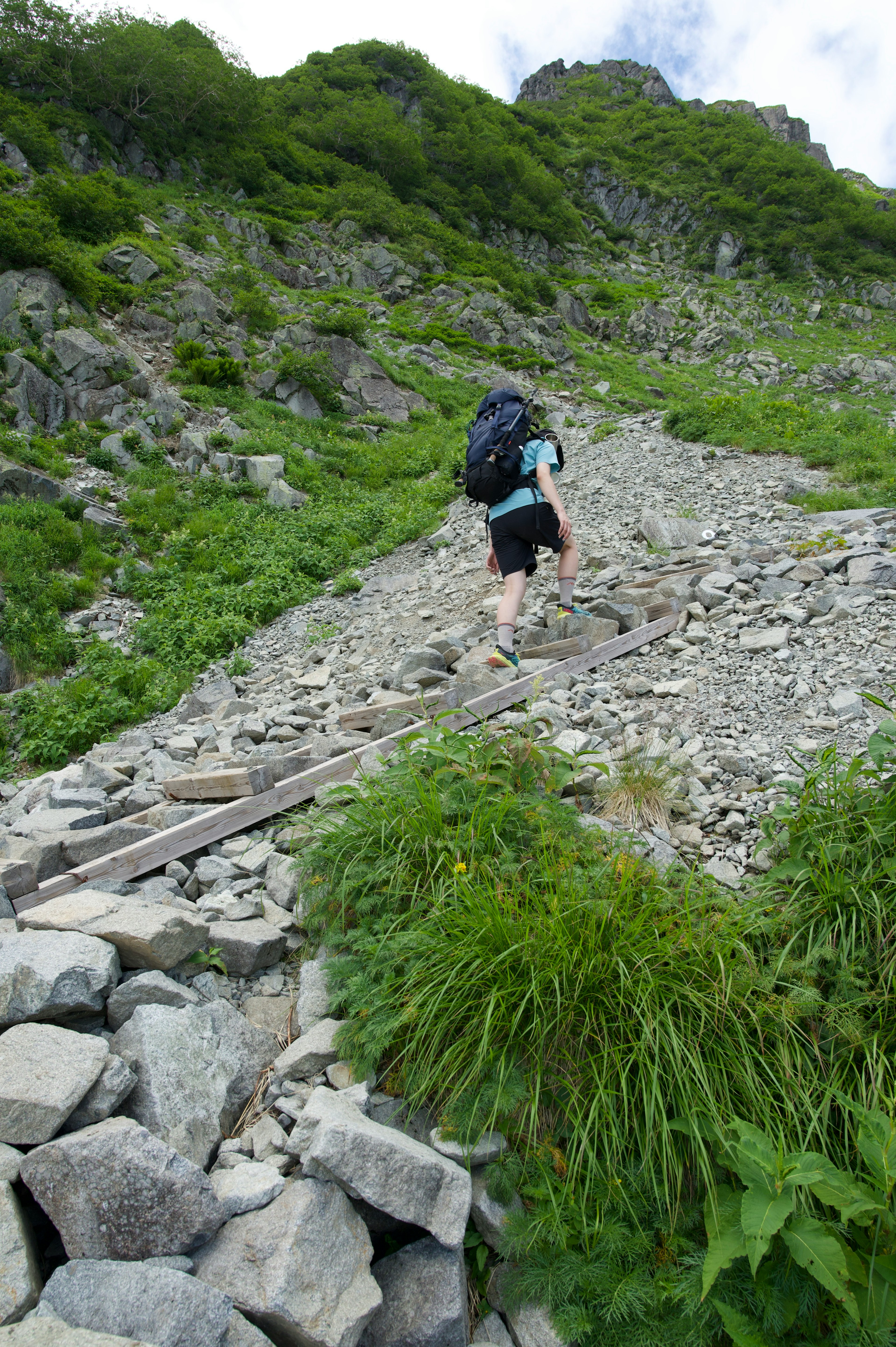 山道を登る人と緑の草木