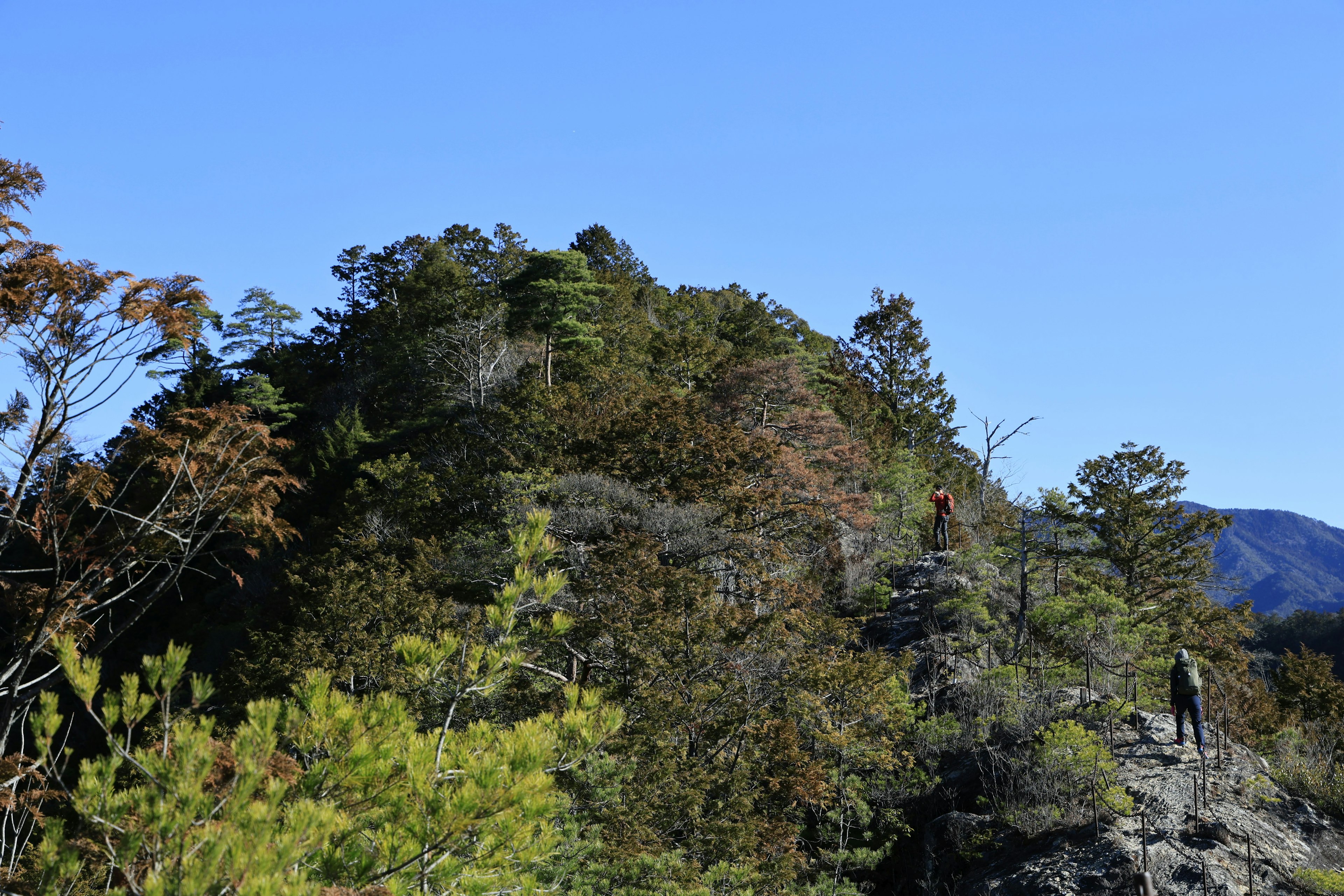 青空の下の緑豊かな山の風景と登山者