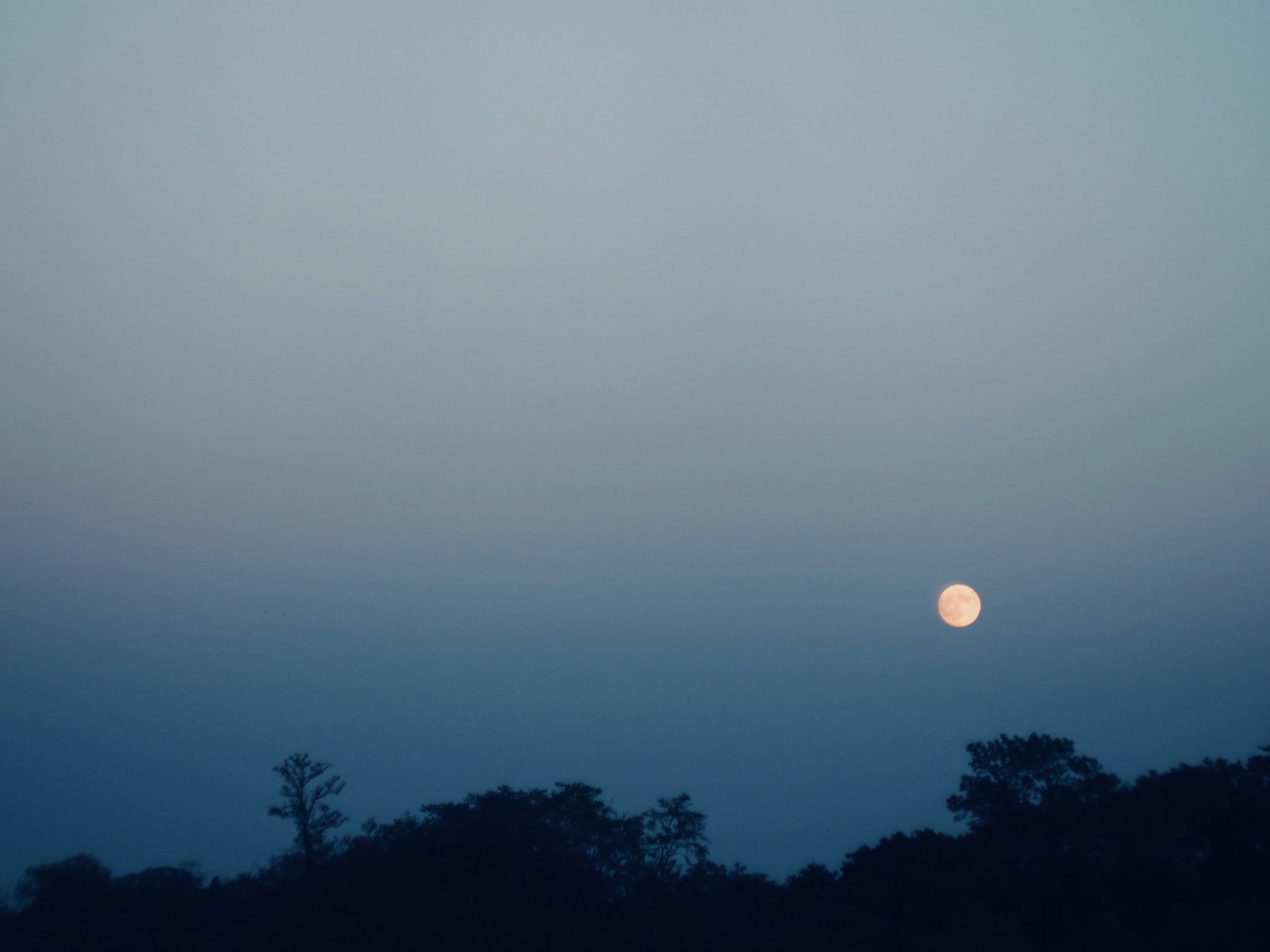 Luna llena en el cielo nocturno con un degradado de tonos azules