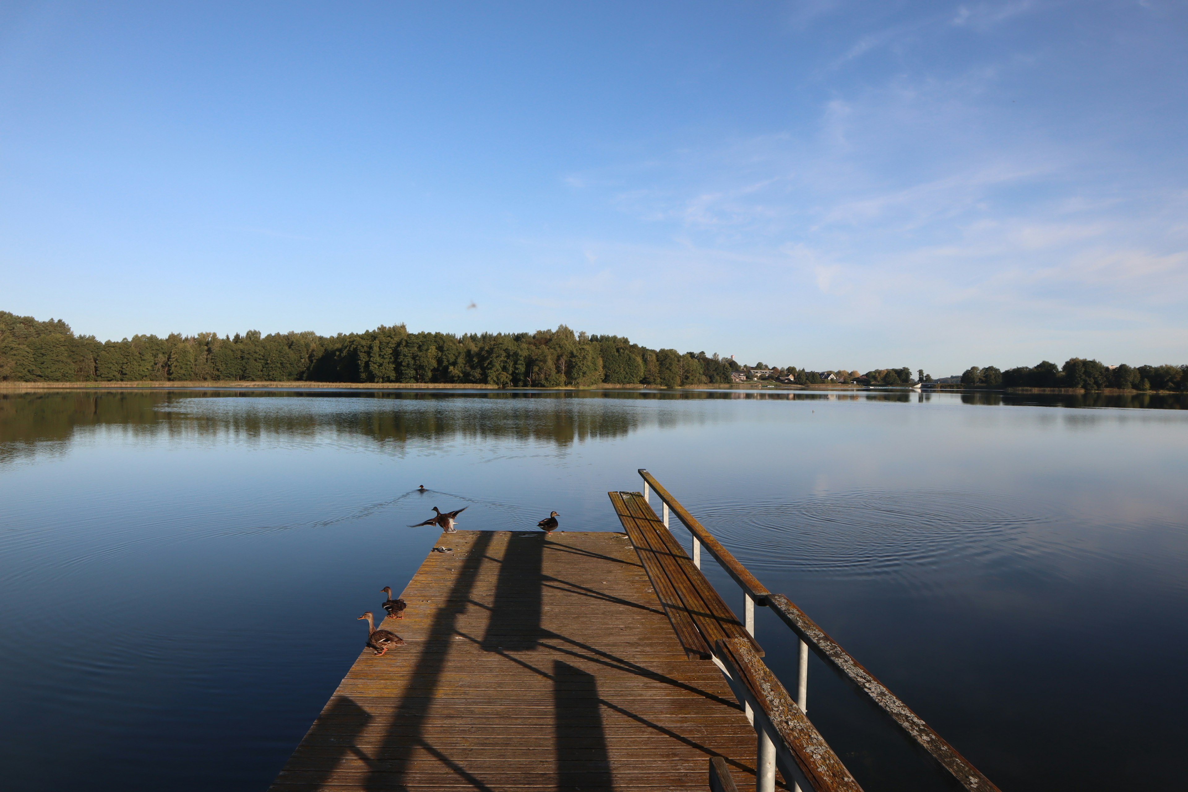 Quai en bois sur un lac calme avec une surface d'eau sereine