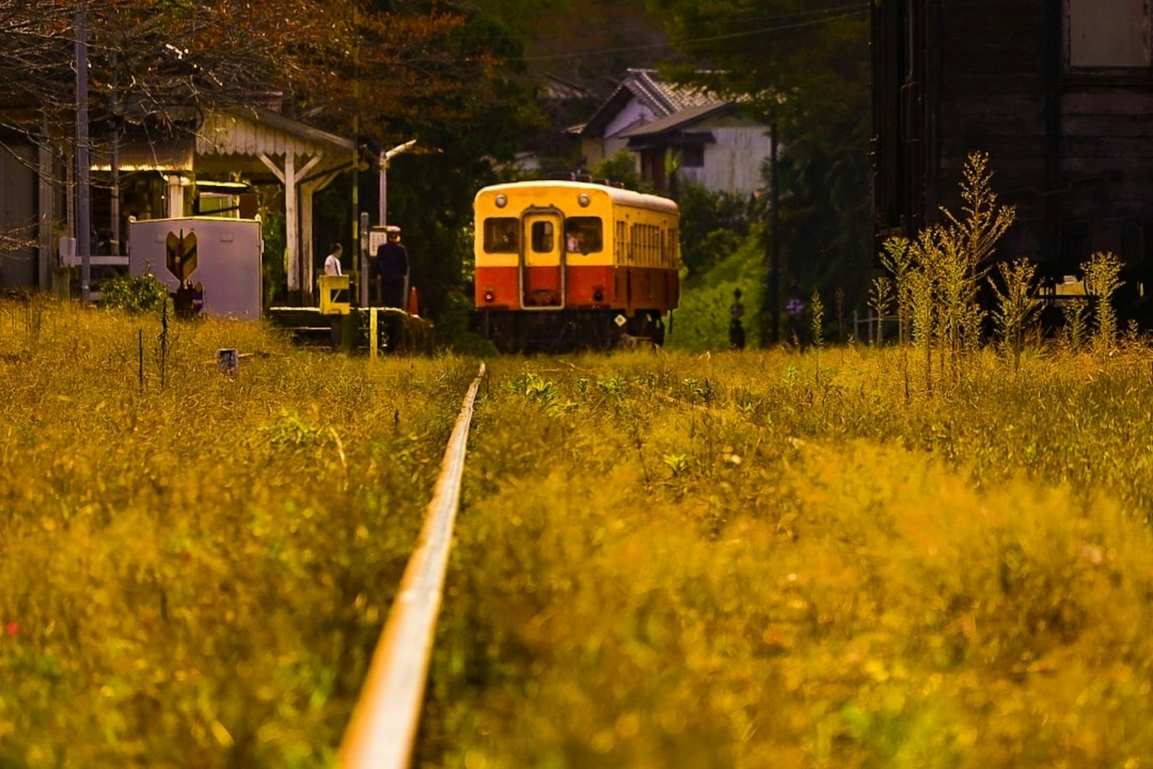 Rel kereta yang ditumbuhi rumput dengan kereta oranye yang berhenti