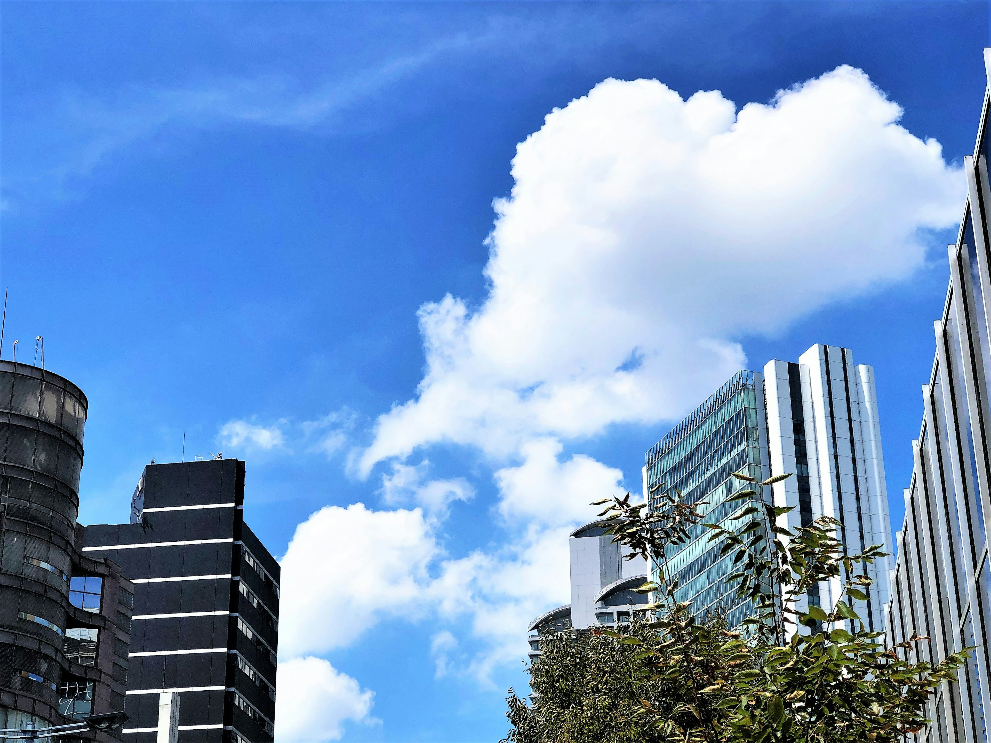 Pemandangan perkotaan dengan langit biru dan awan putih menampilkan gedung tinggi dan arsitektur modern