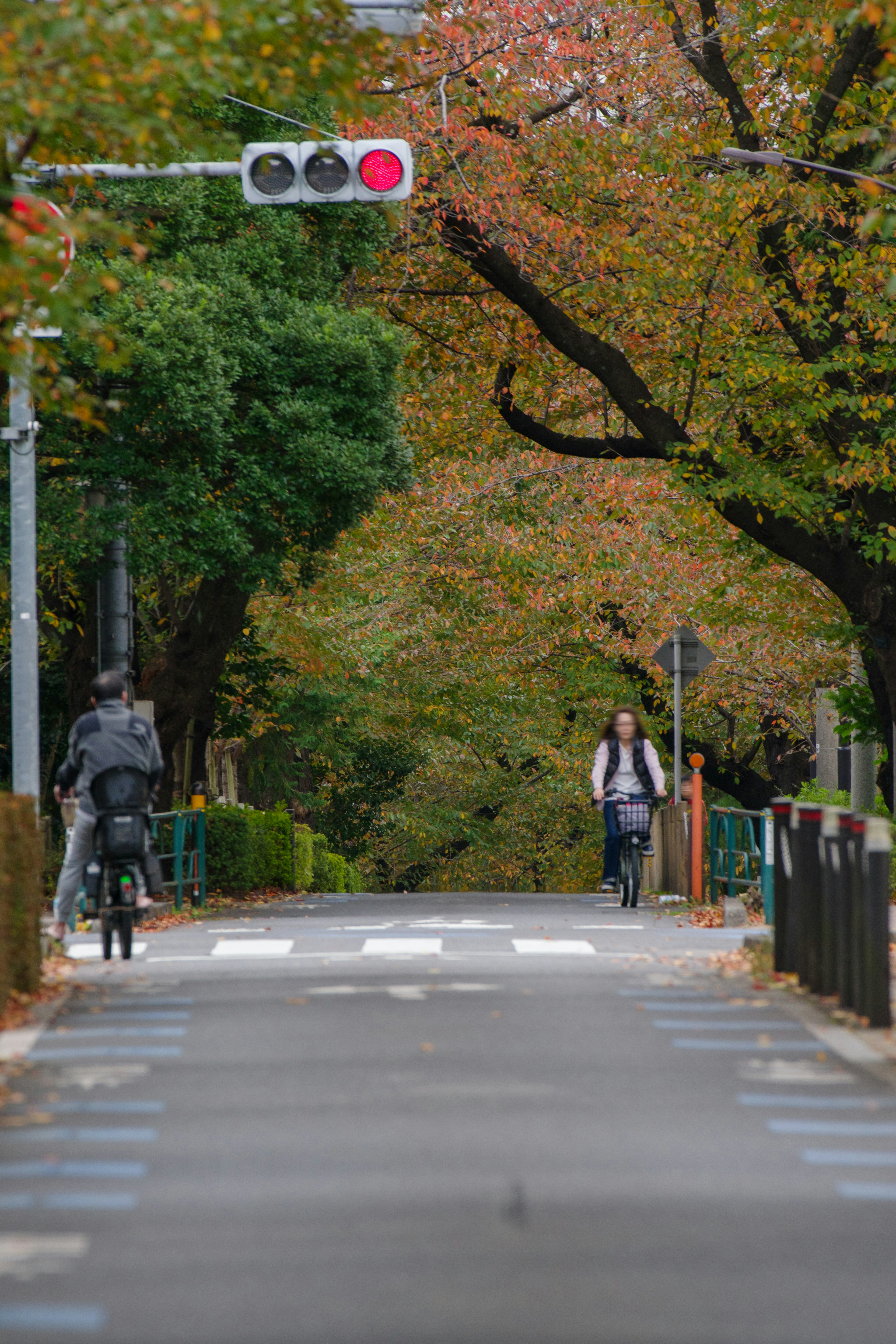 Bicyclists on a tree-lined path with autumn foliage