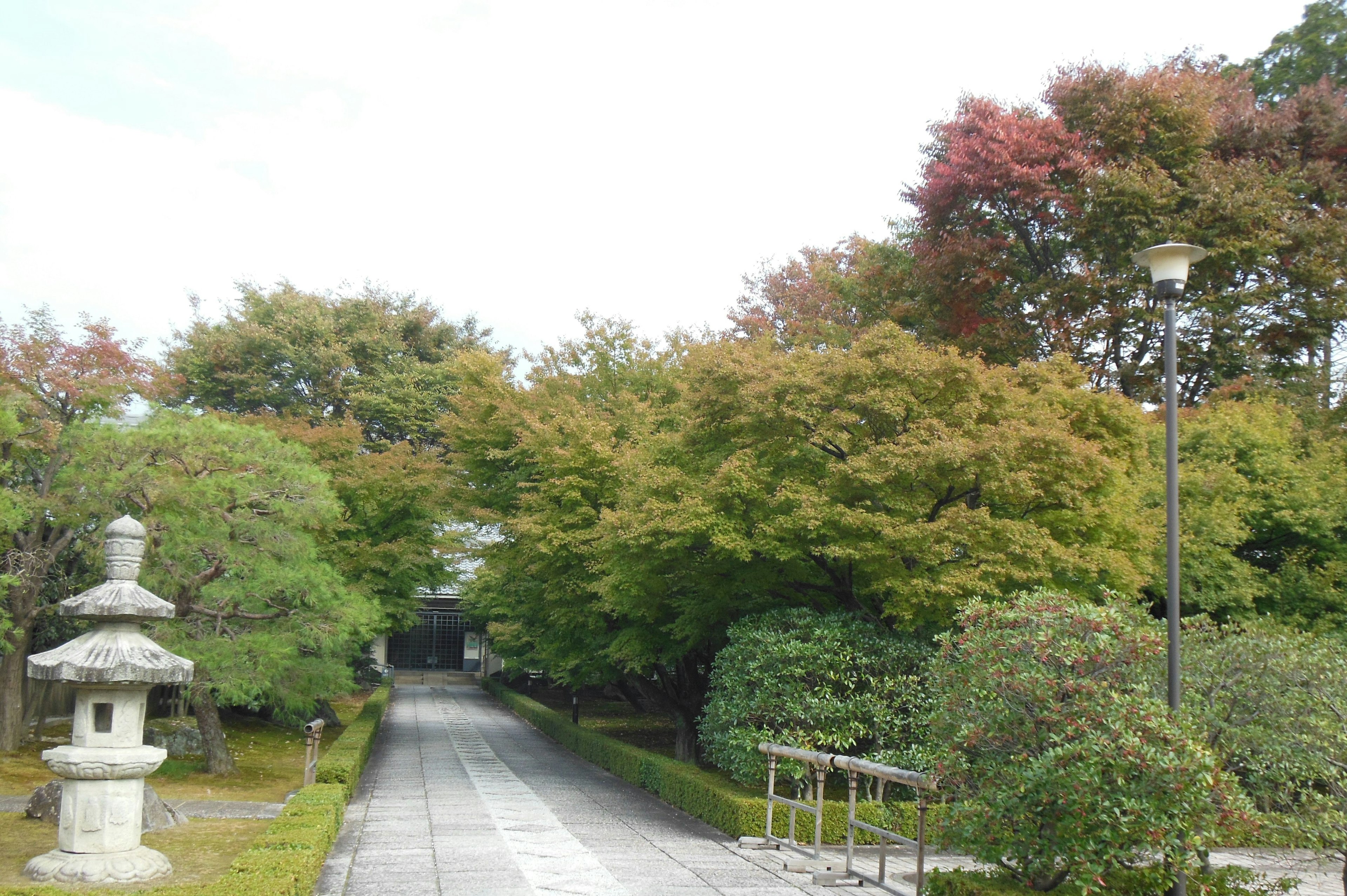 Sentiero panoramico in un bellissimo giardino con alberi rigogliosi lanterna in pietra e sentiero