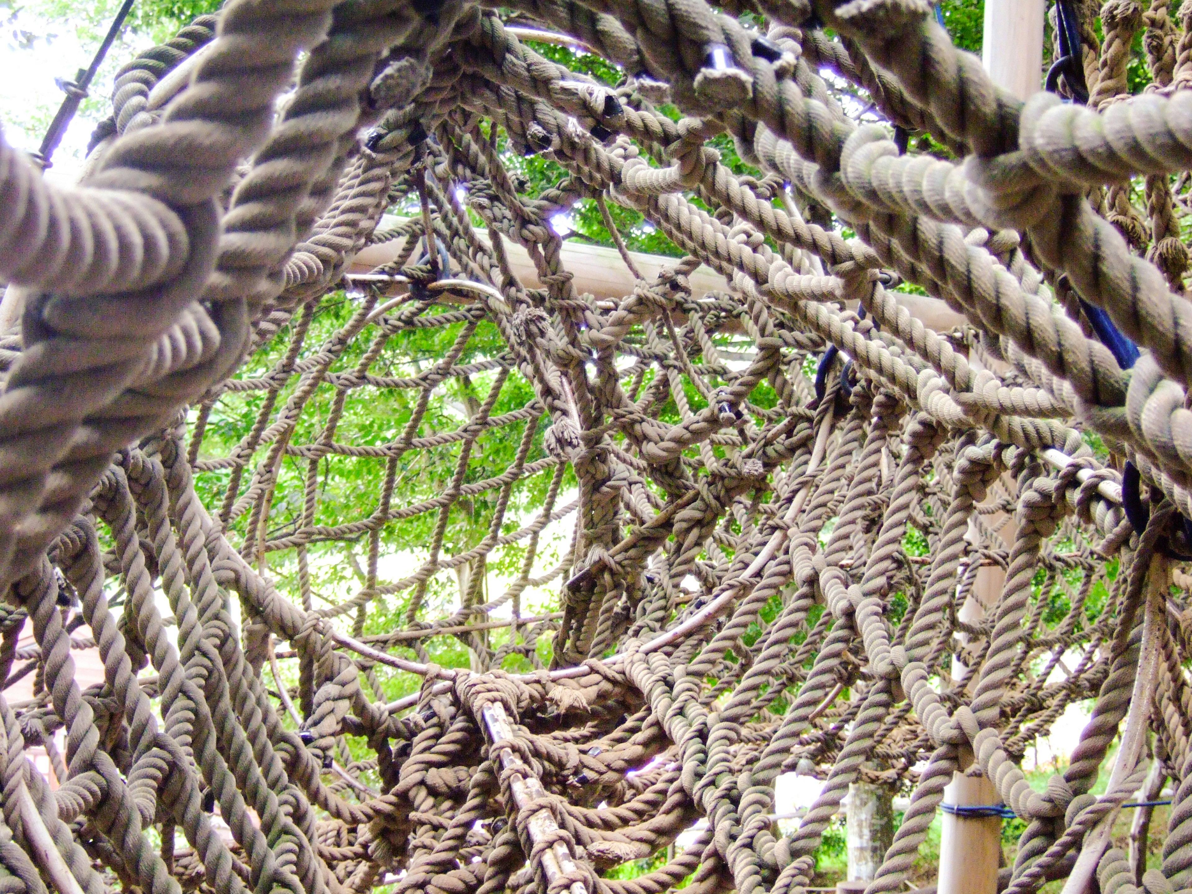 View inside a rope net structure with visible green background