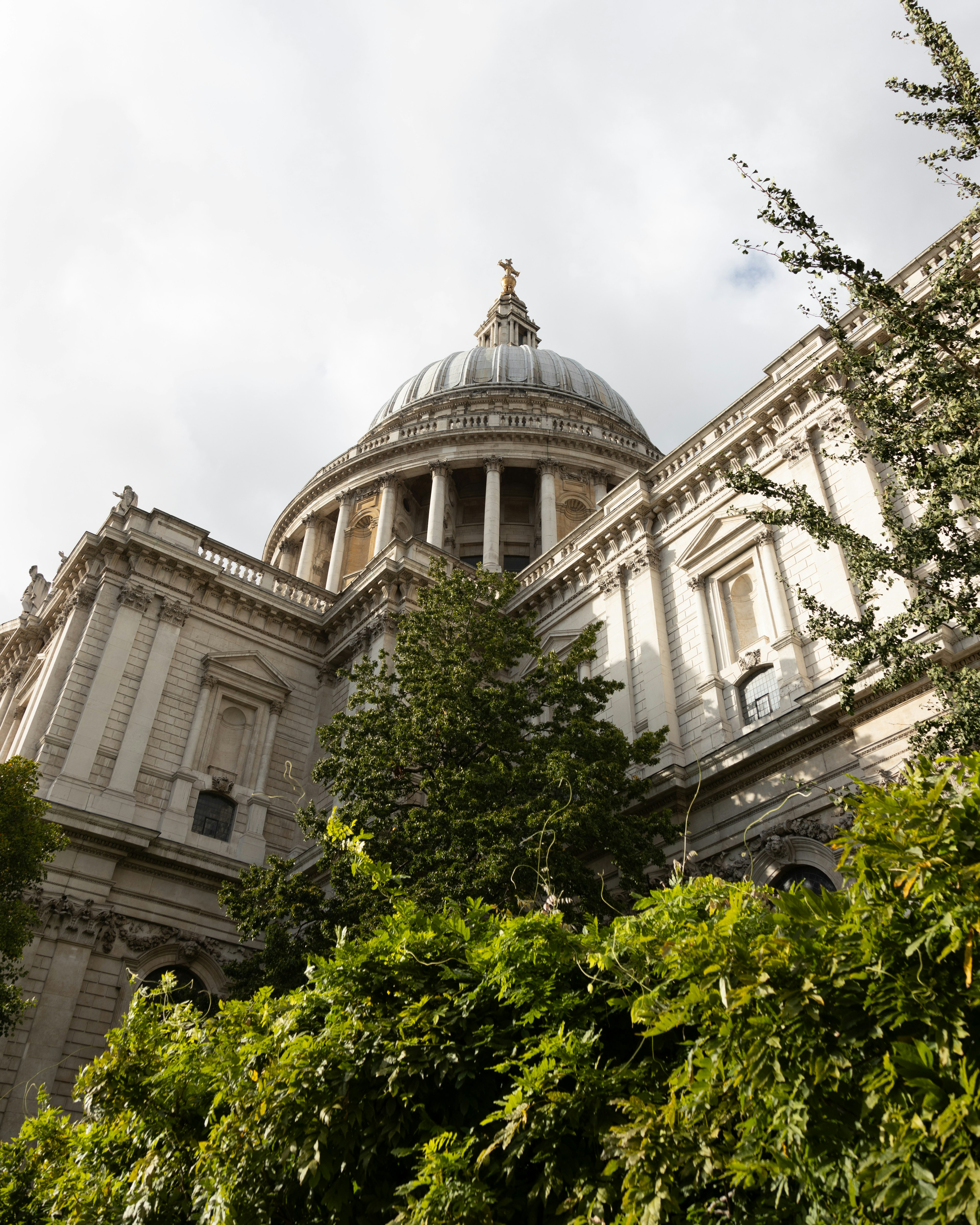 Close-up of the dome of St Paul's Cathedral surrounded by lush greenery