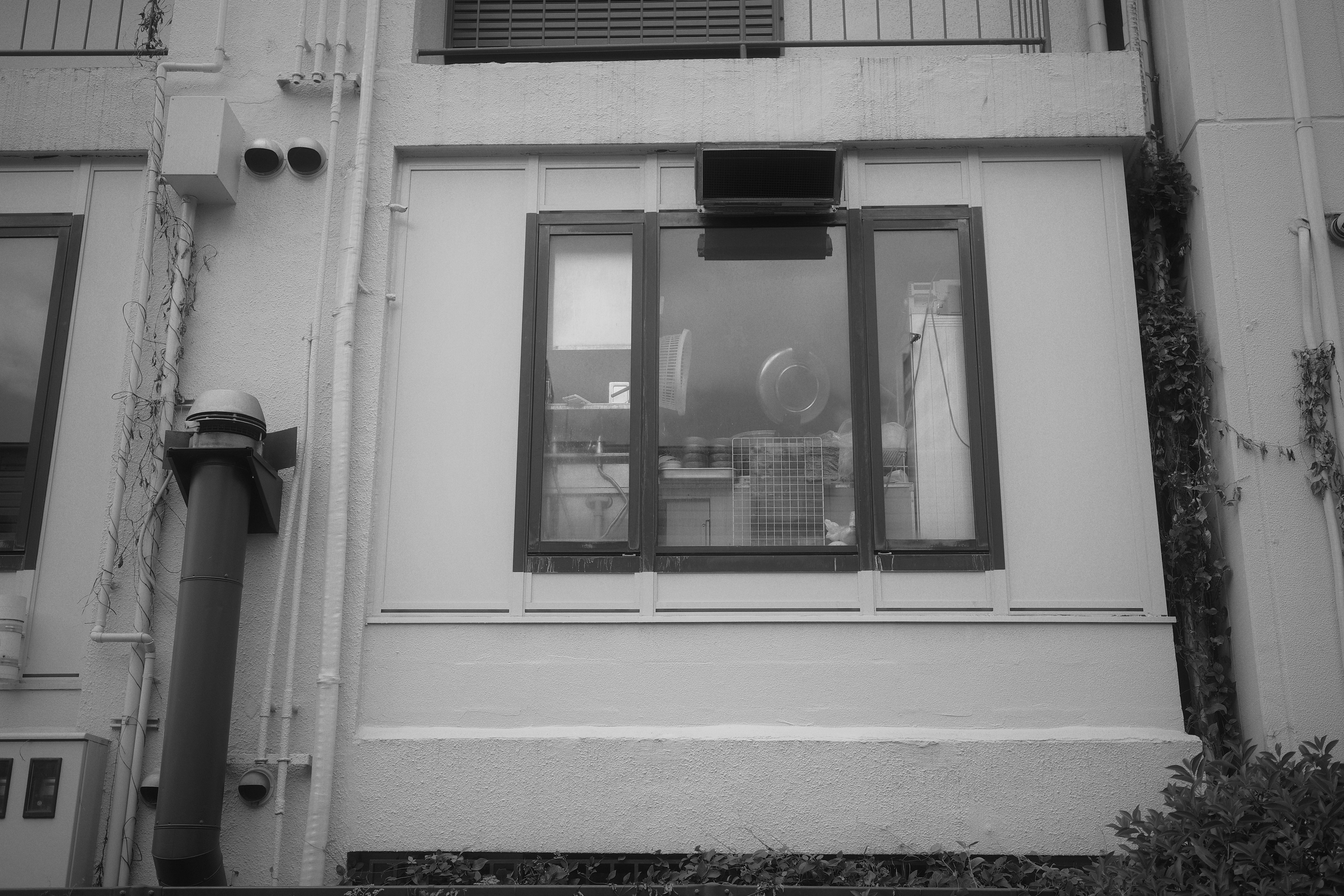 Image en noir et blanc d'une fenêtre de bâtiment montrant des détails intérieurs et des plantes