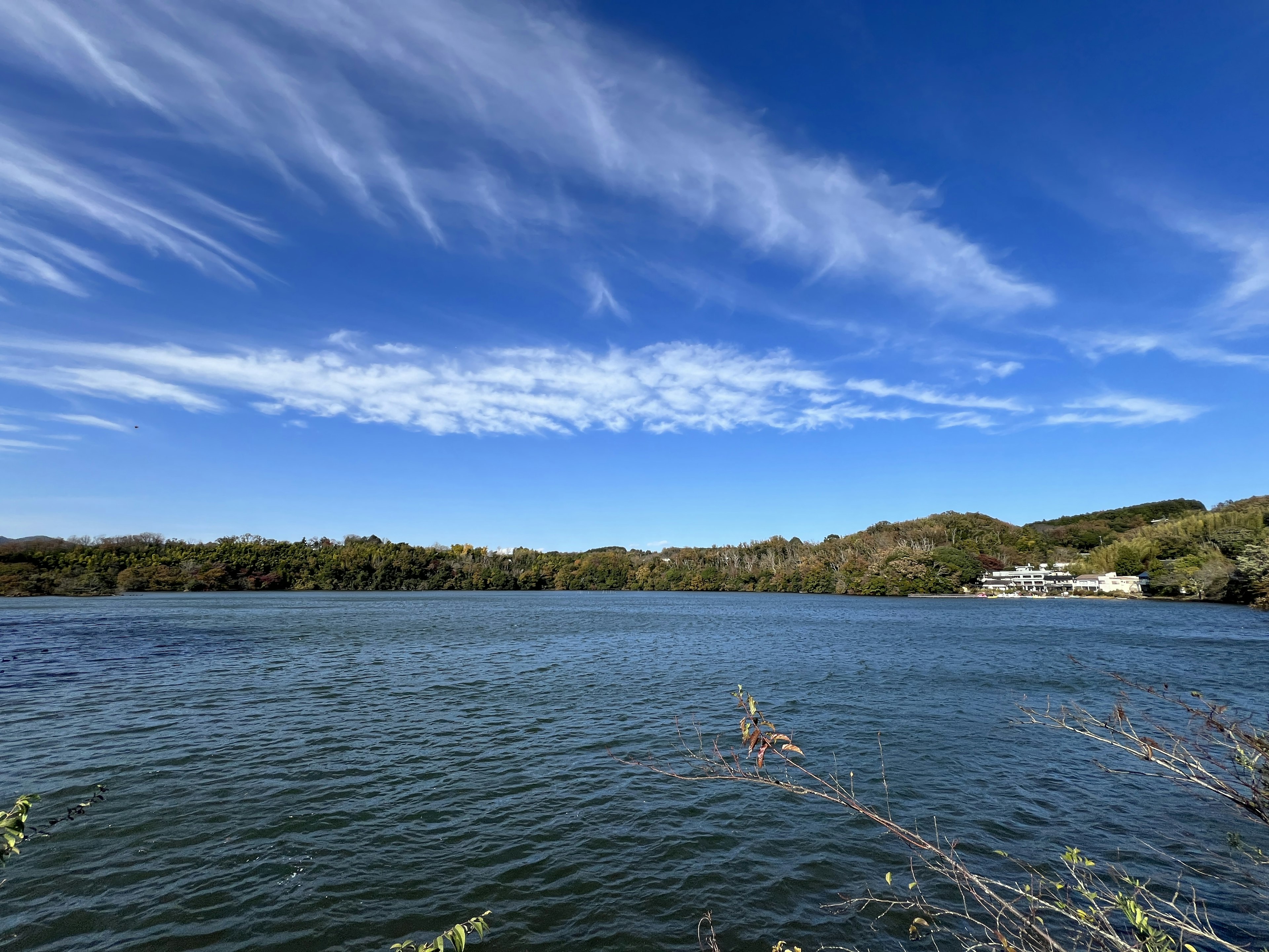 Vue pittoresque d'un lac sous un ciel bleu avec des nuages blancs