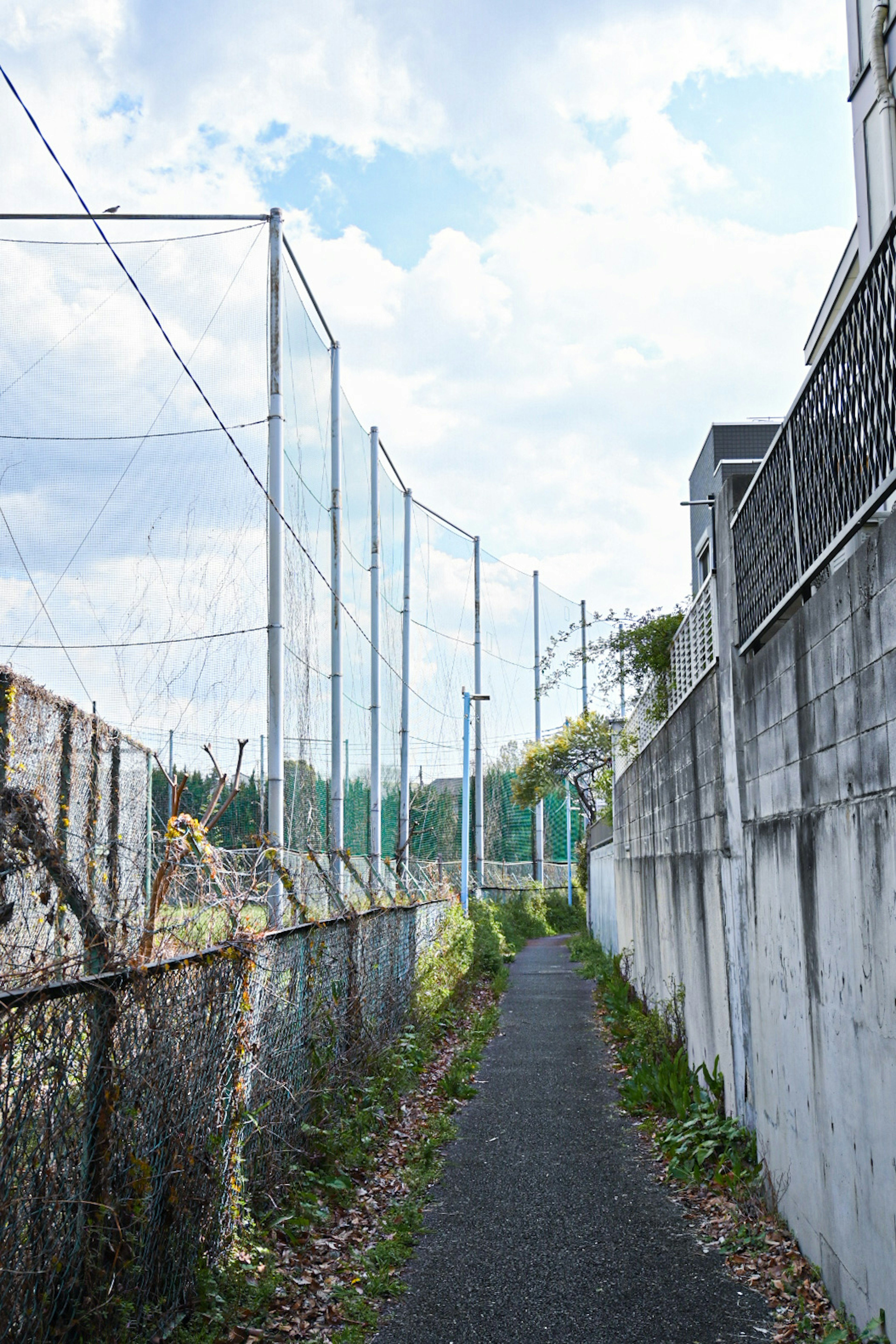 Jalan sempit yang dikelilingi dinding beton dan langit biru