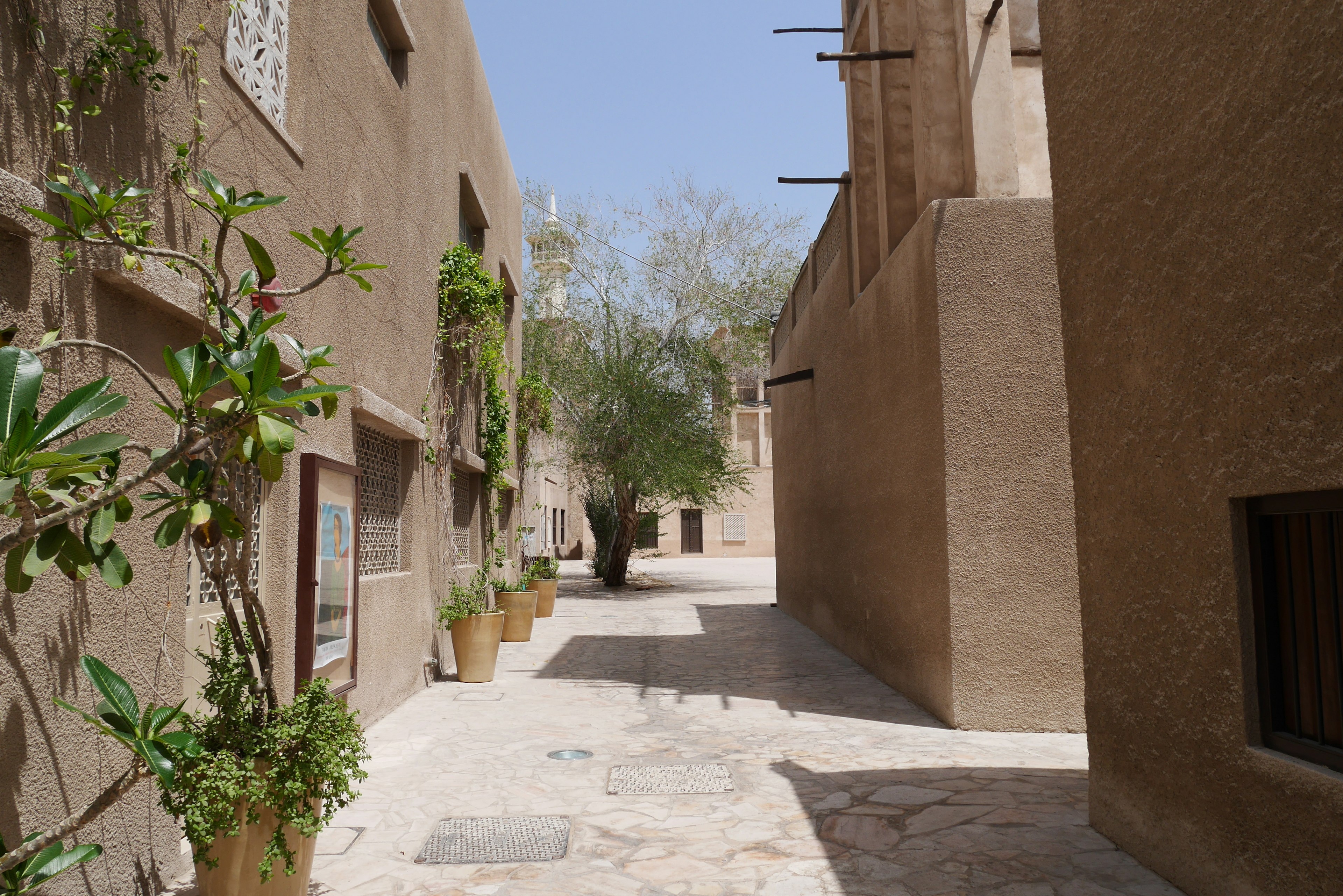 Narrow alley with traditional Arabian architecture featuring green plants and bright sky