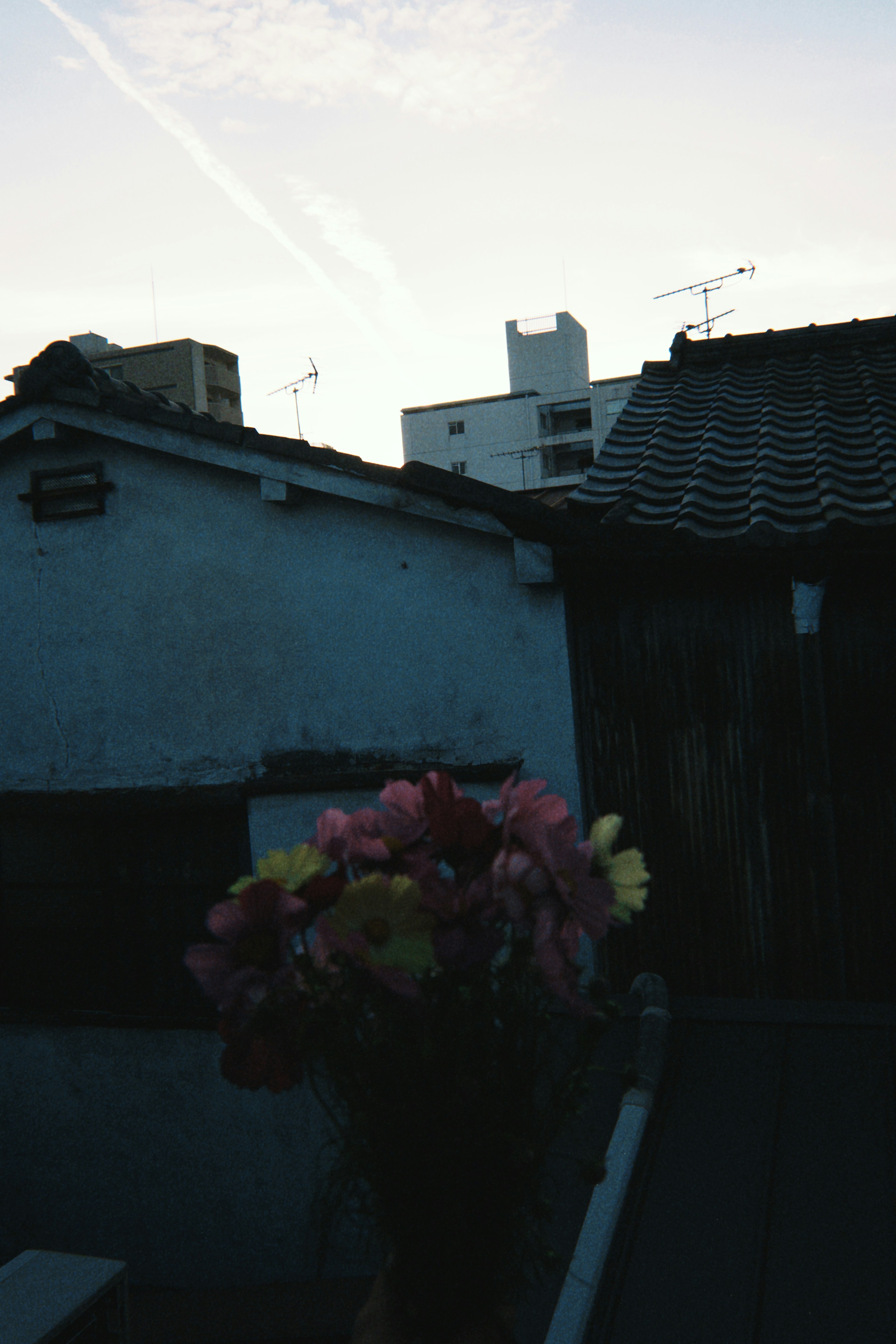 Un bouquet de fleurs au premier plan avec un ciel de coucher de soleil et des bâtiments en arrière-plan