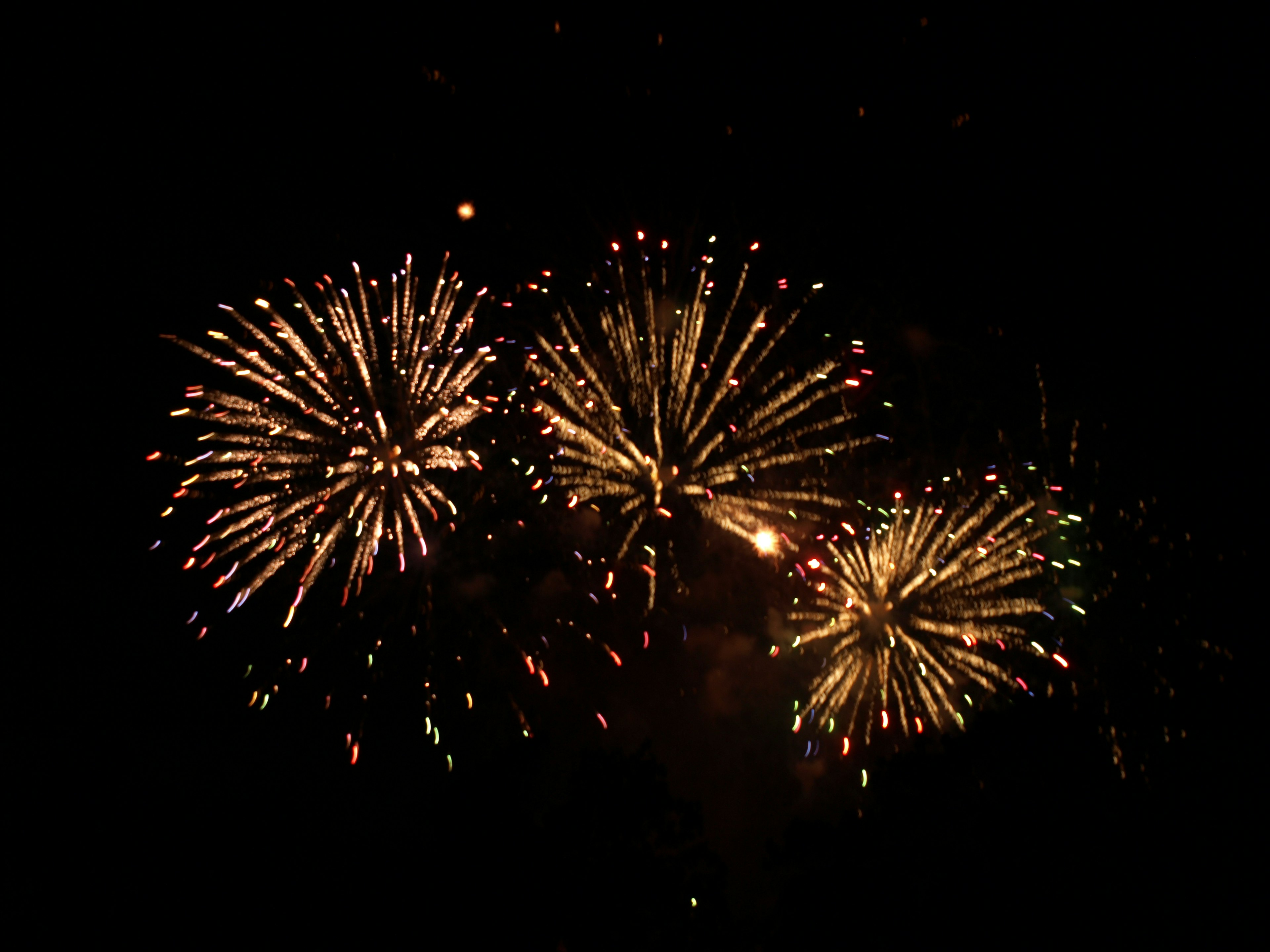 Fireworks bursting in the night sky