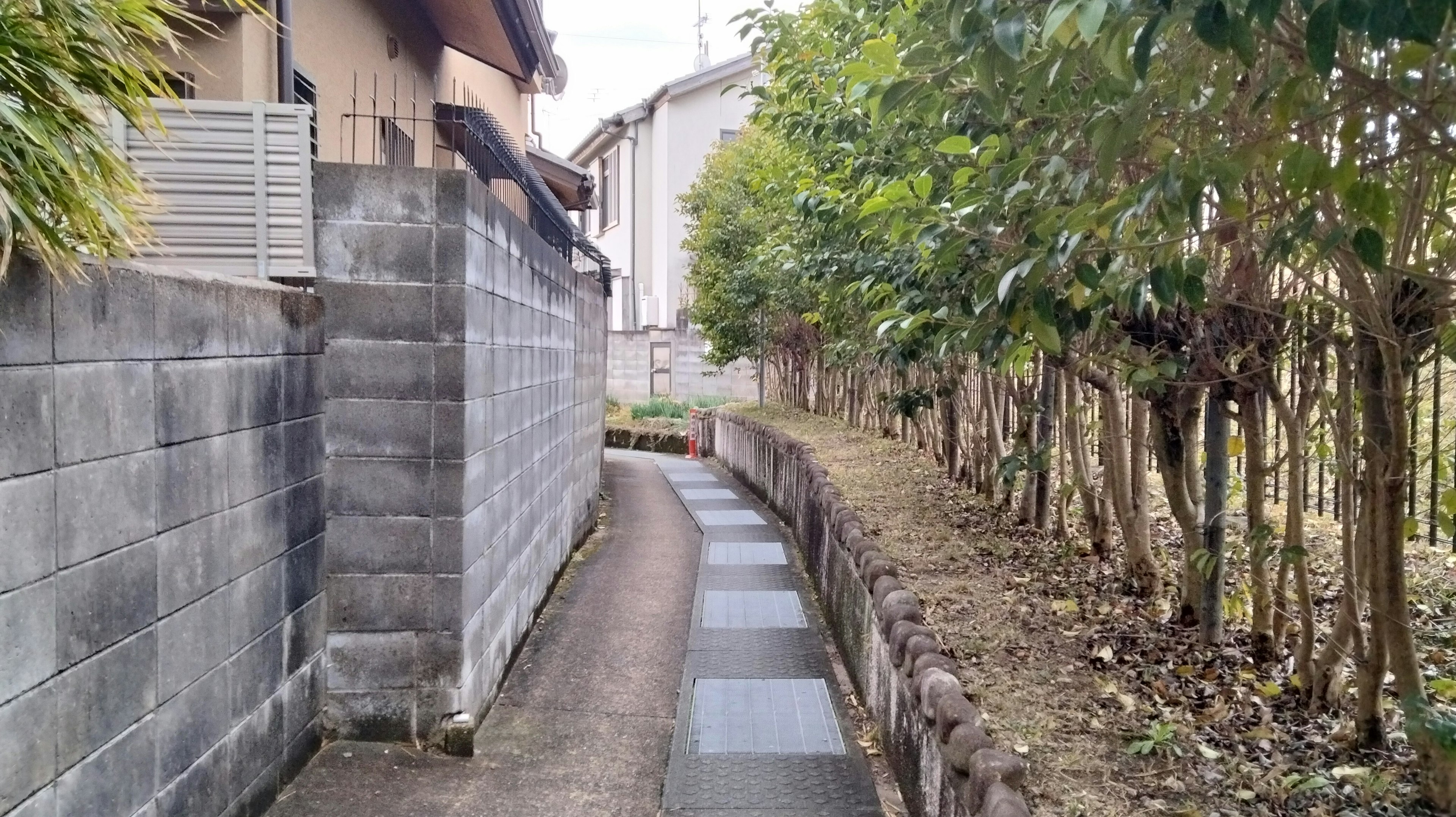 Narrow pathway bordered by houses and greenery