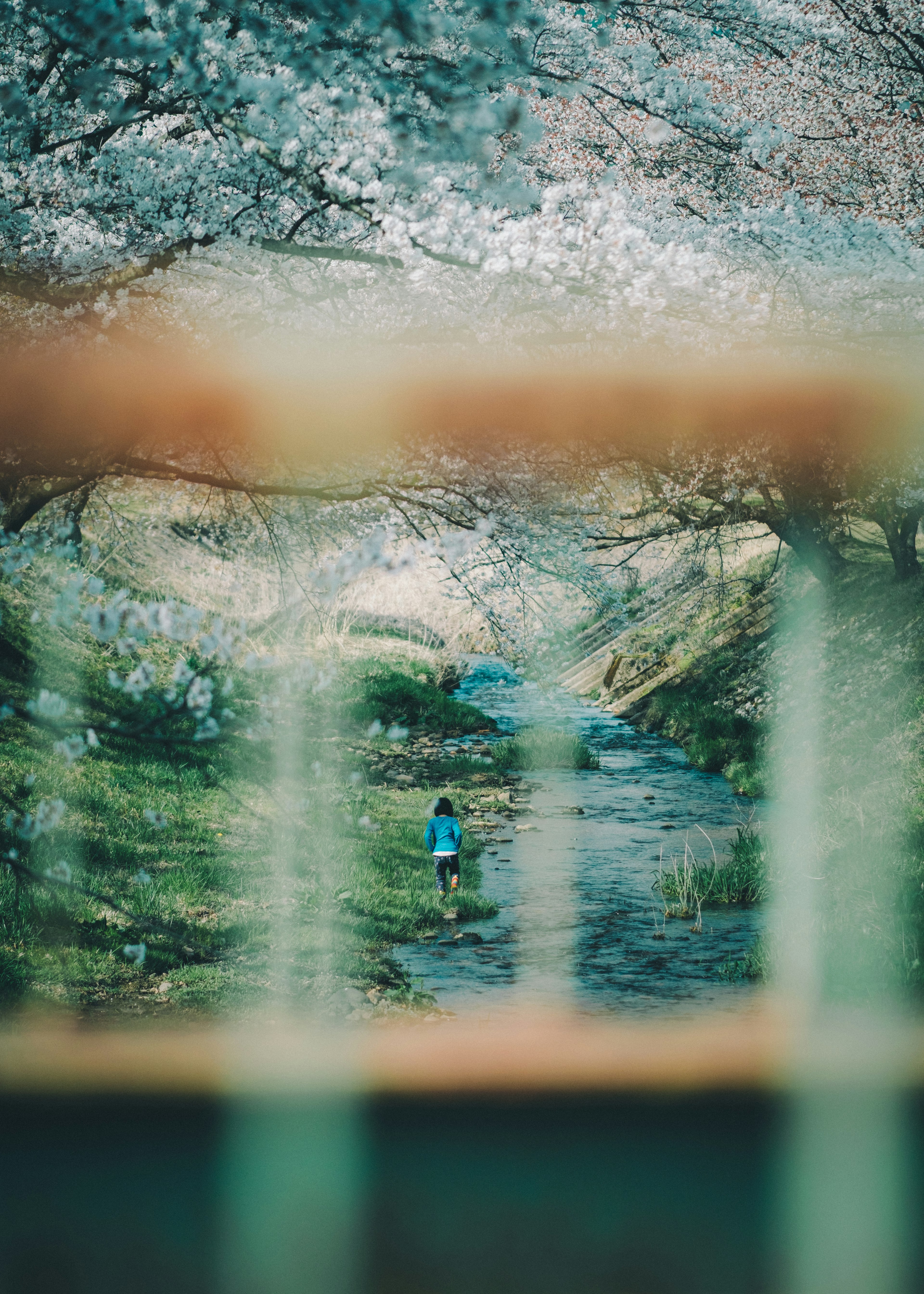 A child in a blue outfit walking by a stream surrounded by trees