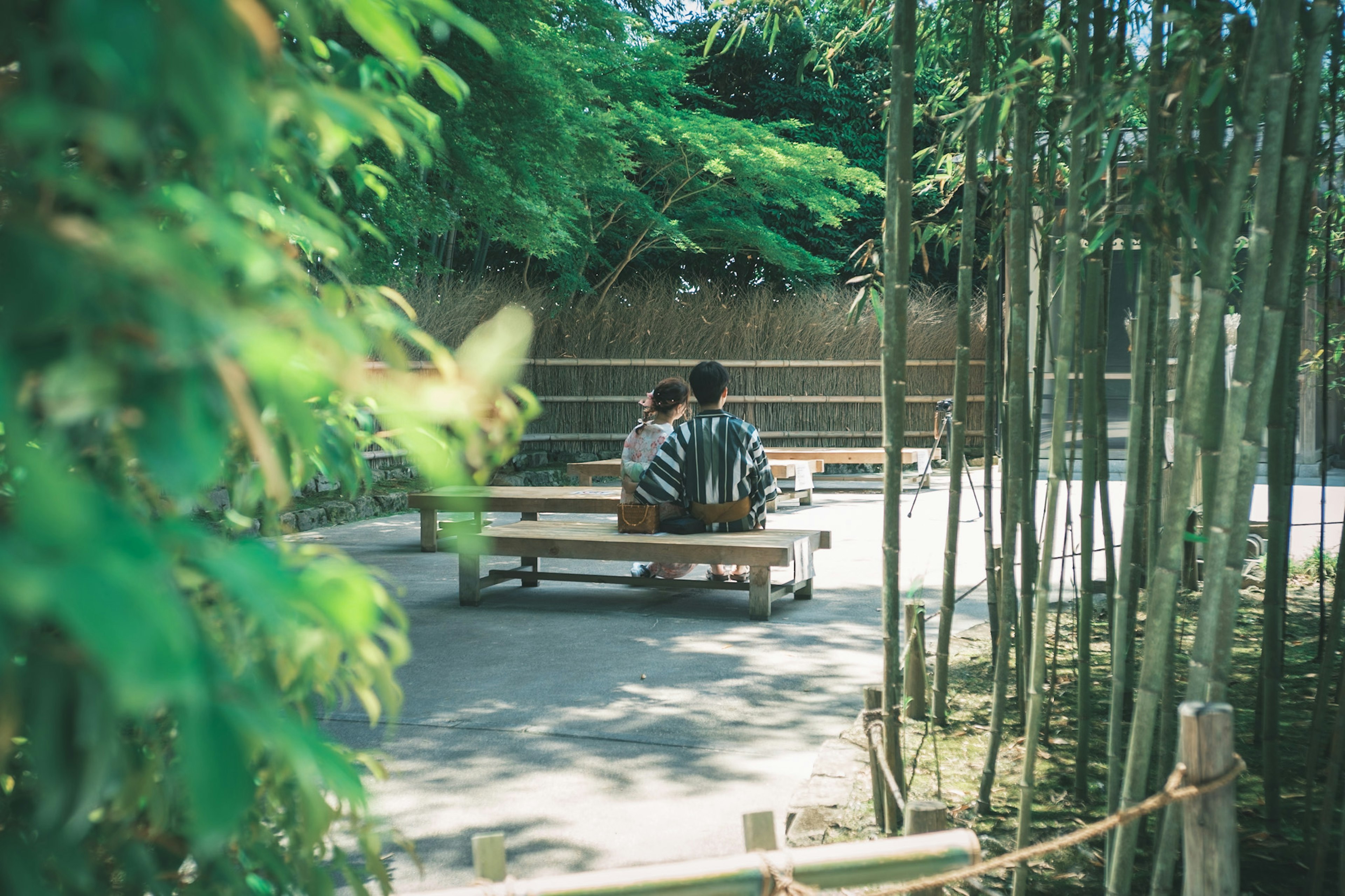 Dos personas sentadas en un banco en un jardín de bambú sereno