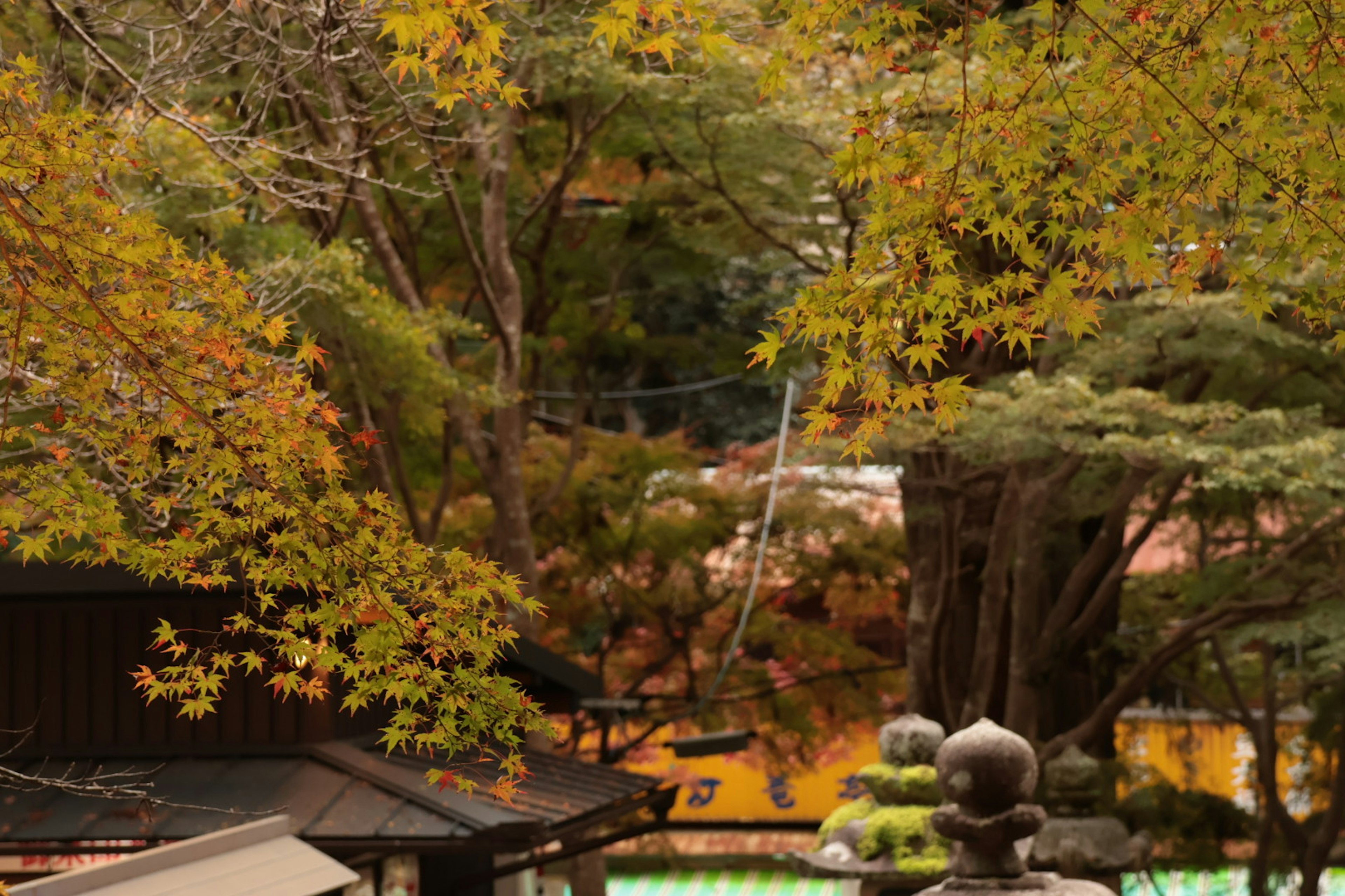 Scenic view of autumn foliage with traditional buildings and trees