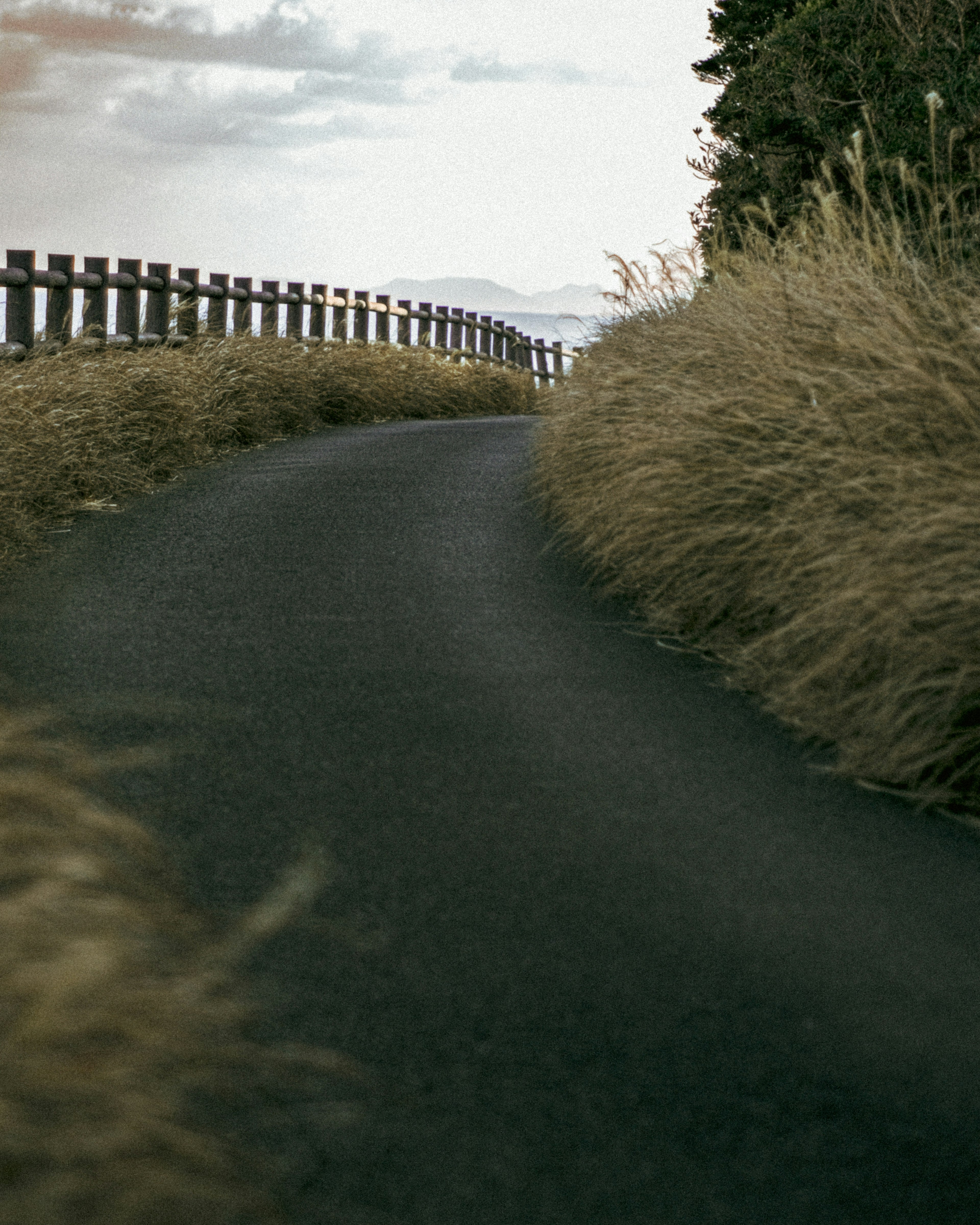 Curved road bordered by tall grass and wooden fence