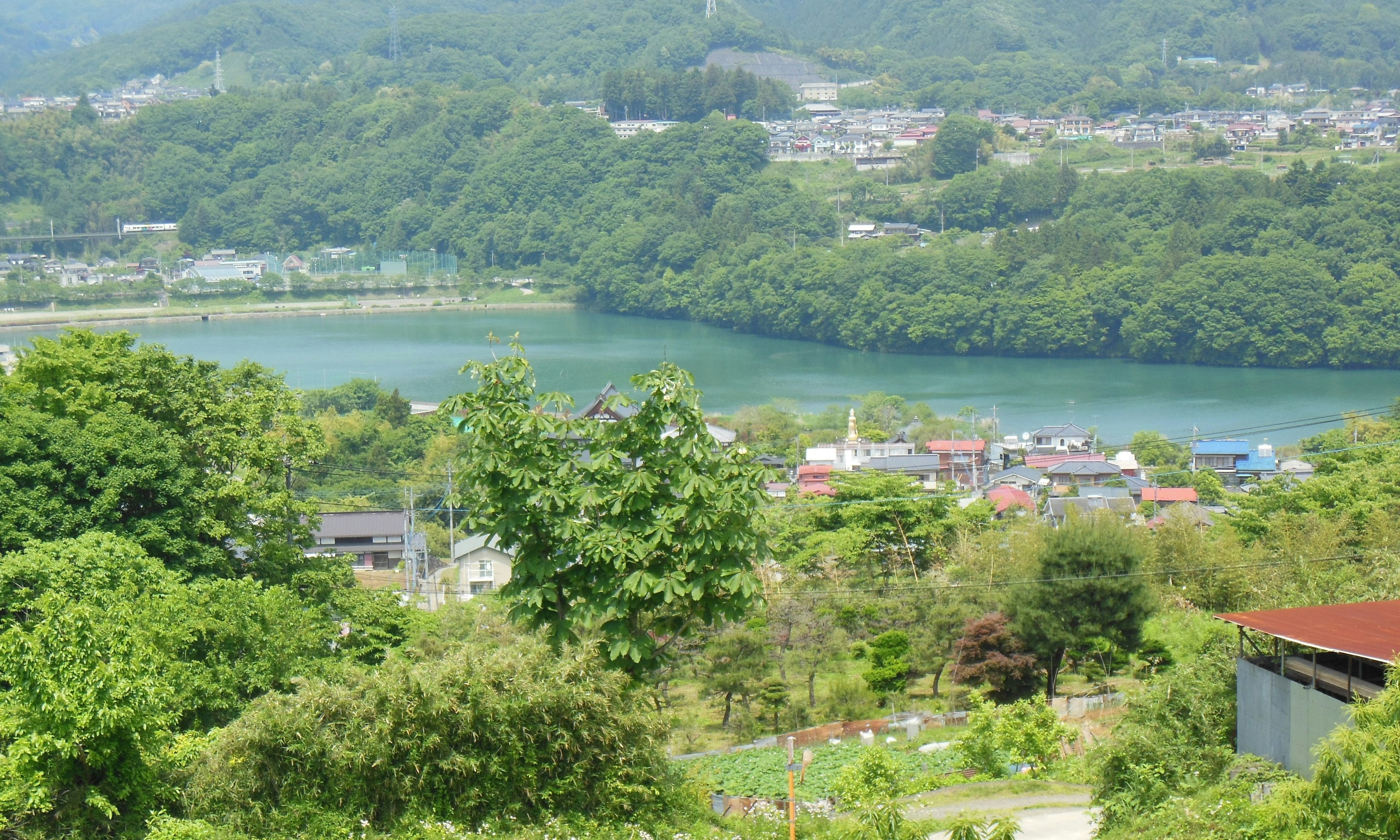 Vista panoramica di un fiume circondato da montagne verdi