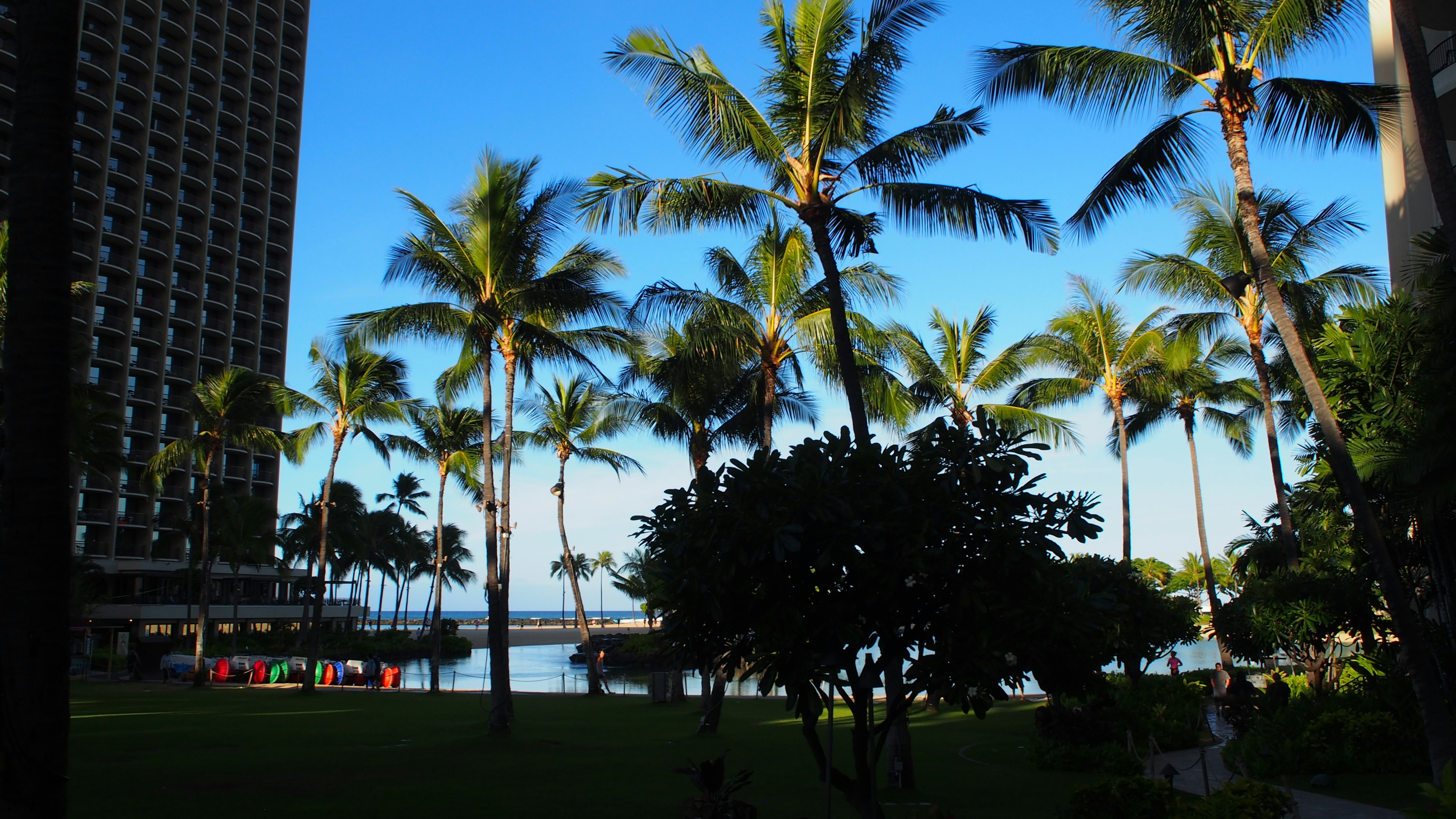 Paysage magnifique avec des palmiers sous un ciel bleu avec une plage et l'océan