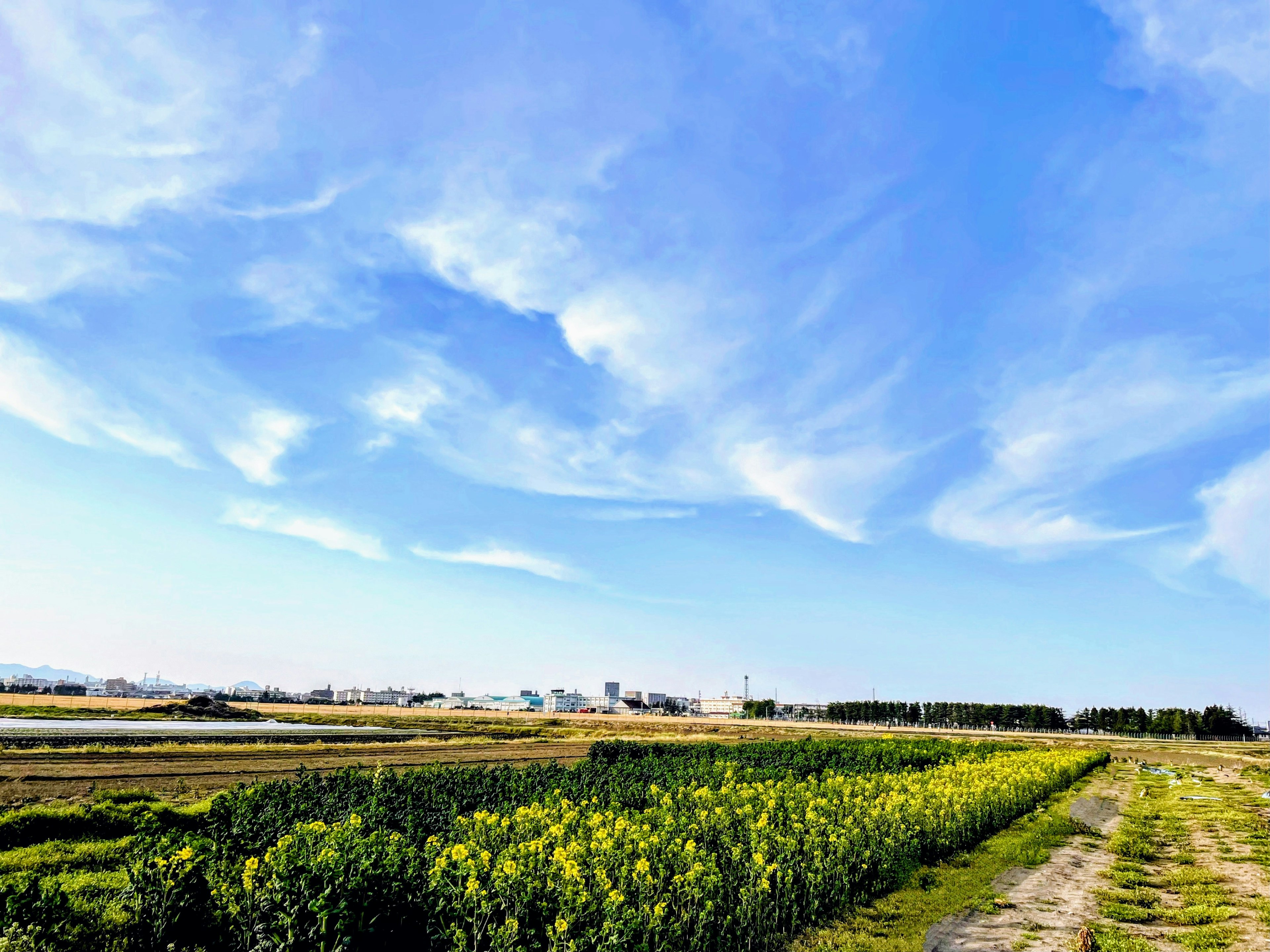 Landscape featuring a blue sky with clouds green fields and crops