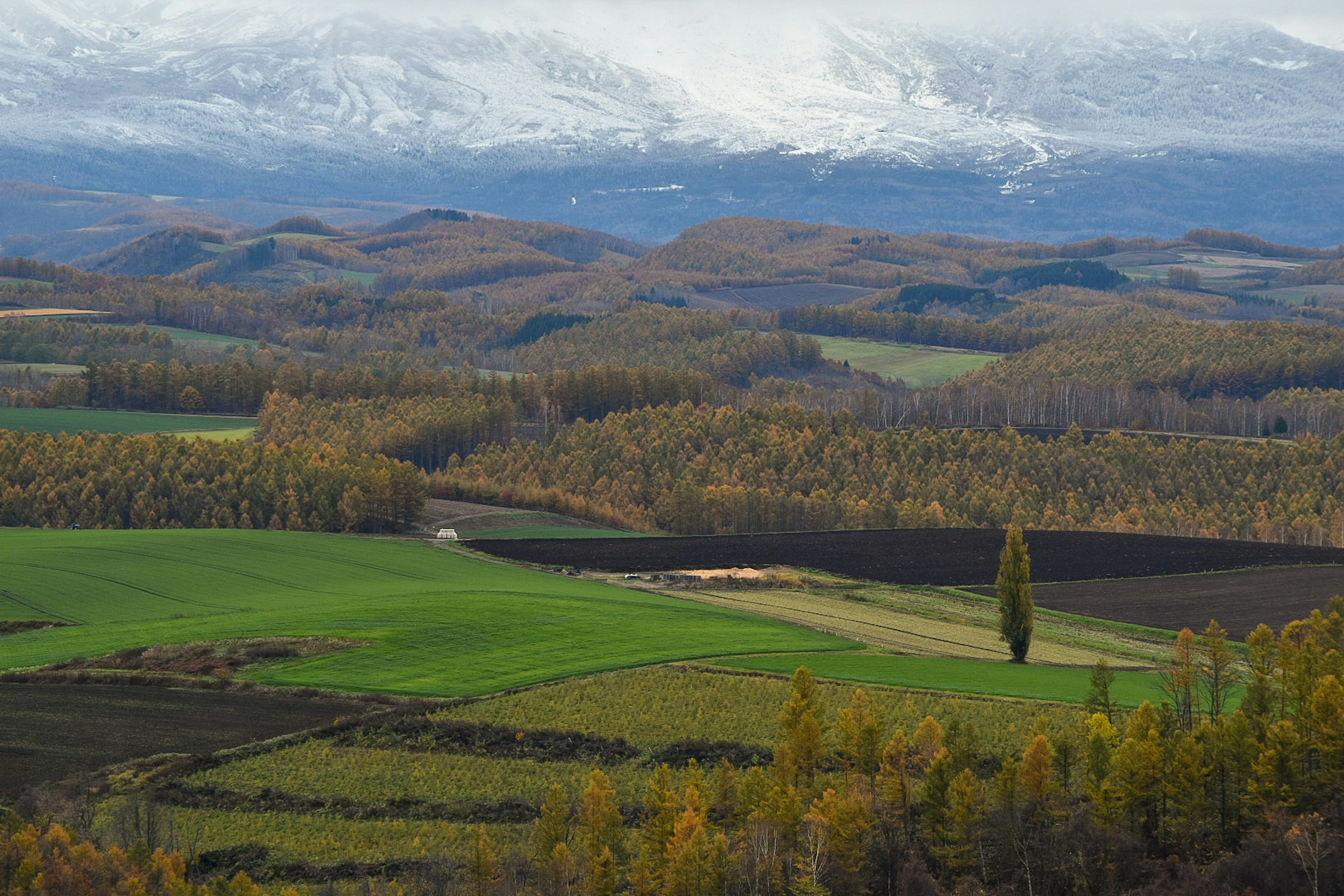 Bellissimo paesaggio di colline verdi e gialle con montagne sullo sfondo