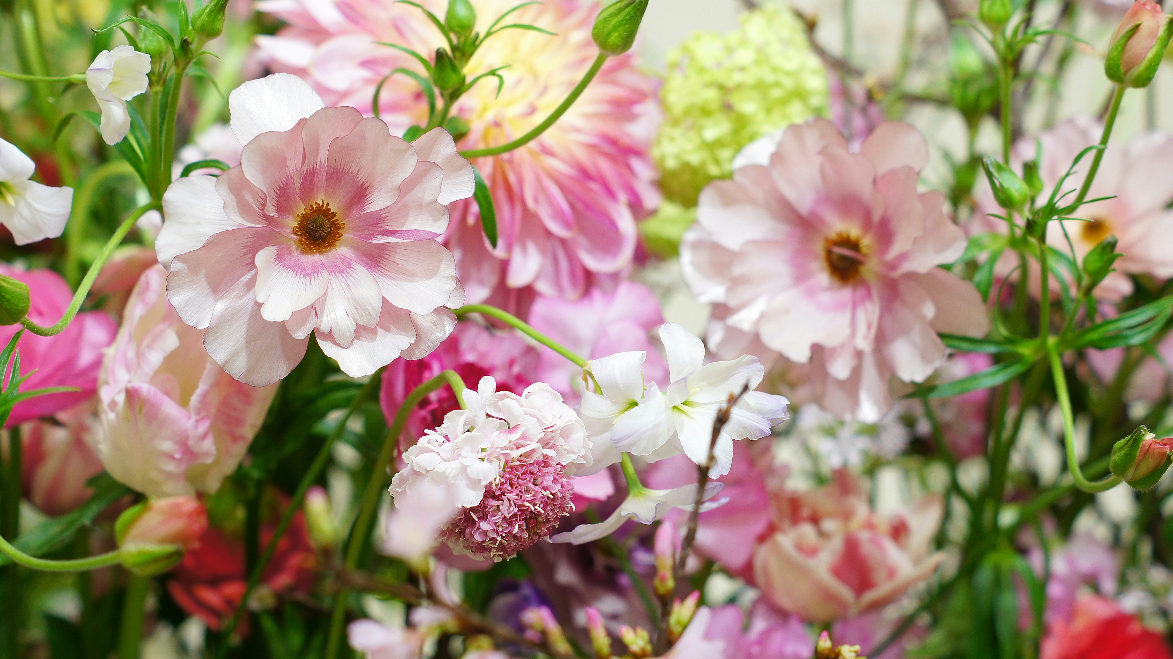 Un ramo vibrante de flores mixtas con flores rosas y blancas