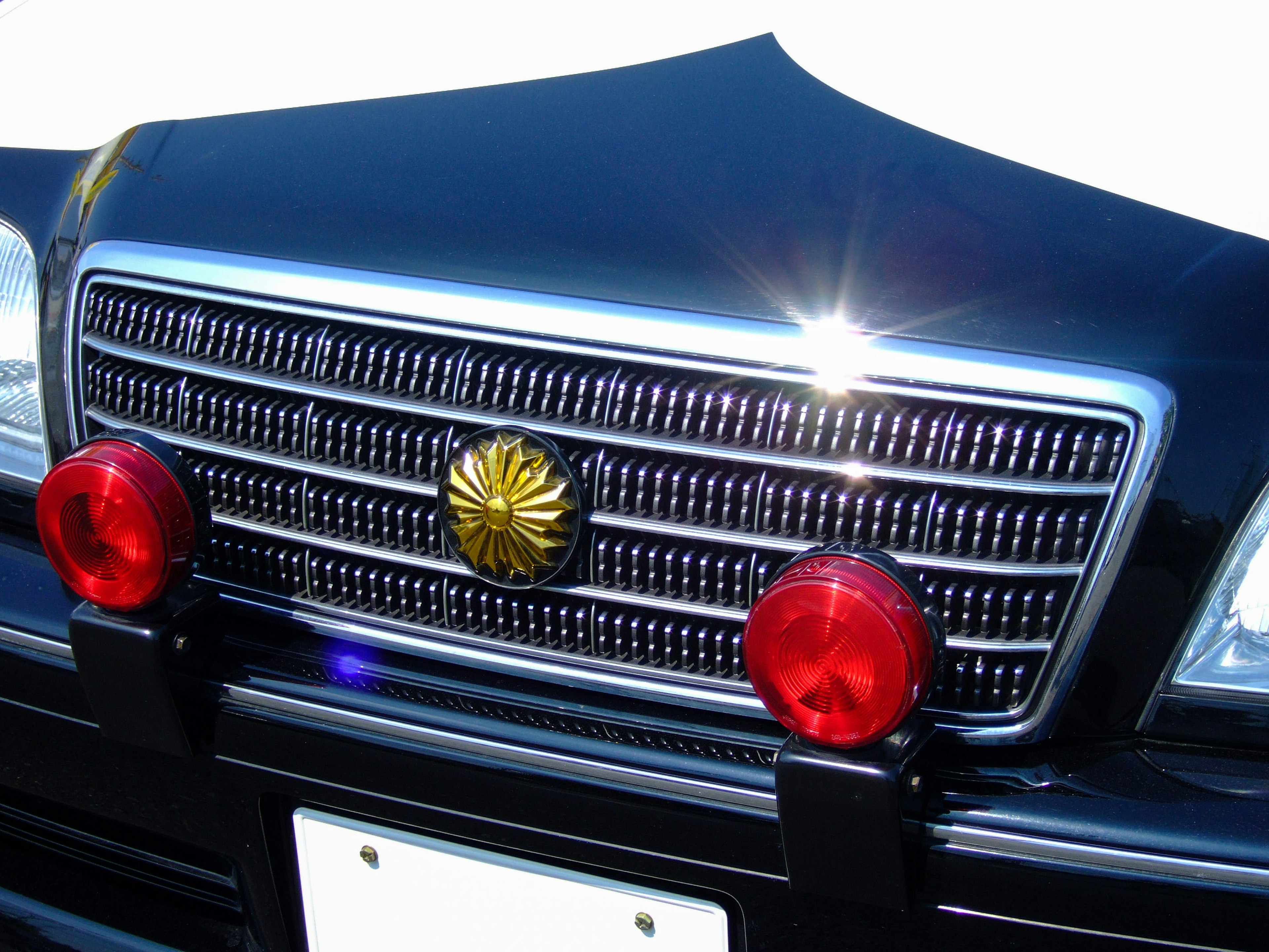 Grille avant d'une voiture noire avec un emblème de fleur dorée et des lumières rouges