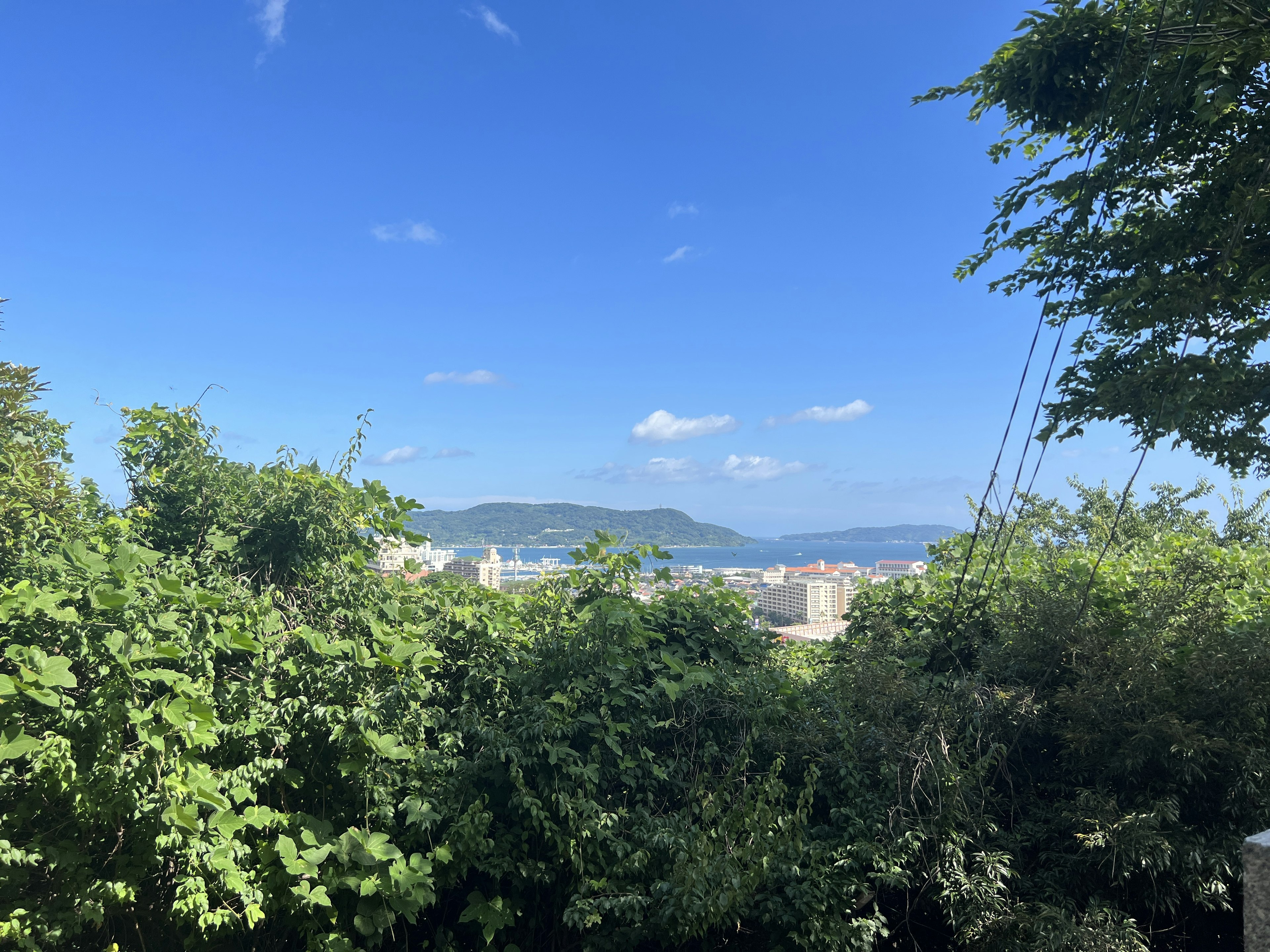 青空と緑の木々に囲まれた海の景色