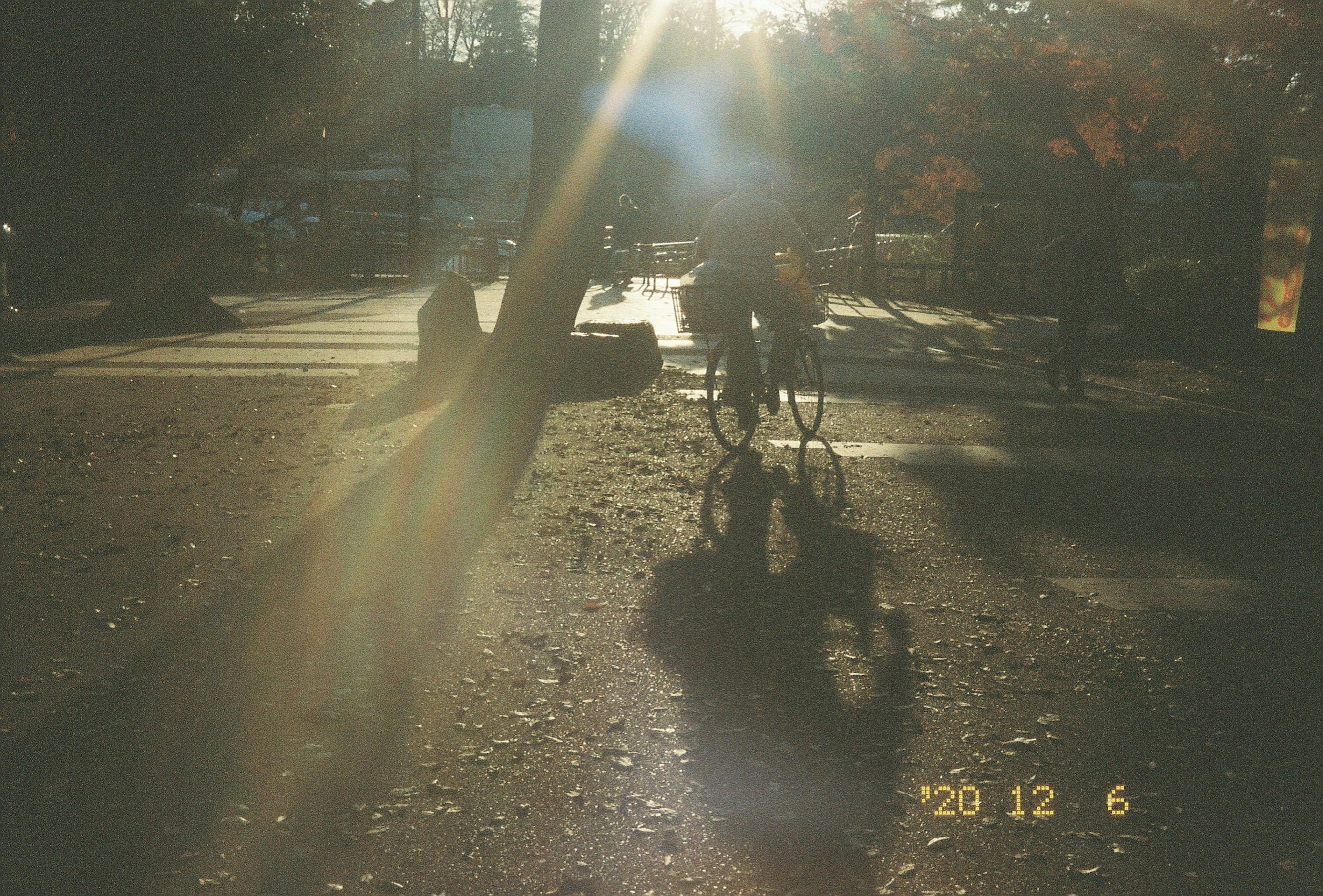 A scene of a bicycle on a sunlit road with shadows