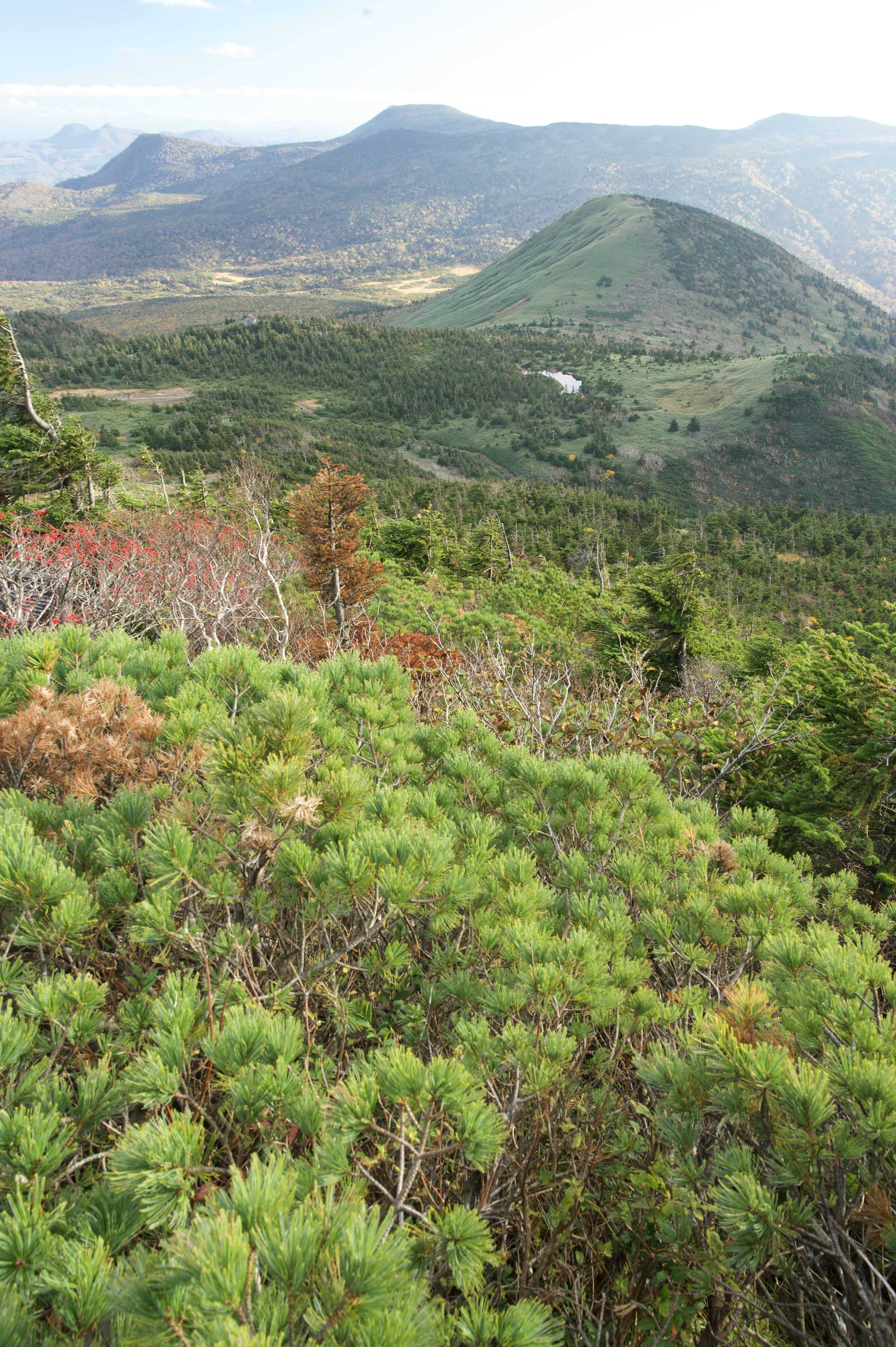 郁郁蔥蔥的山地景觀和遙遠的山丘