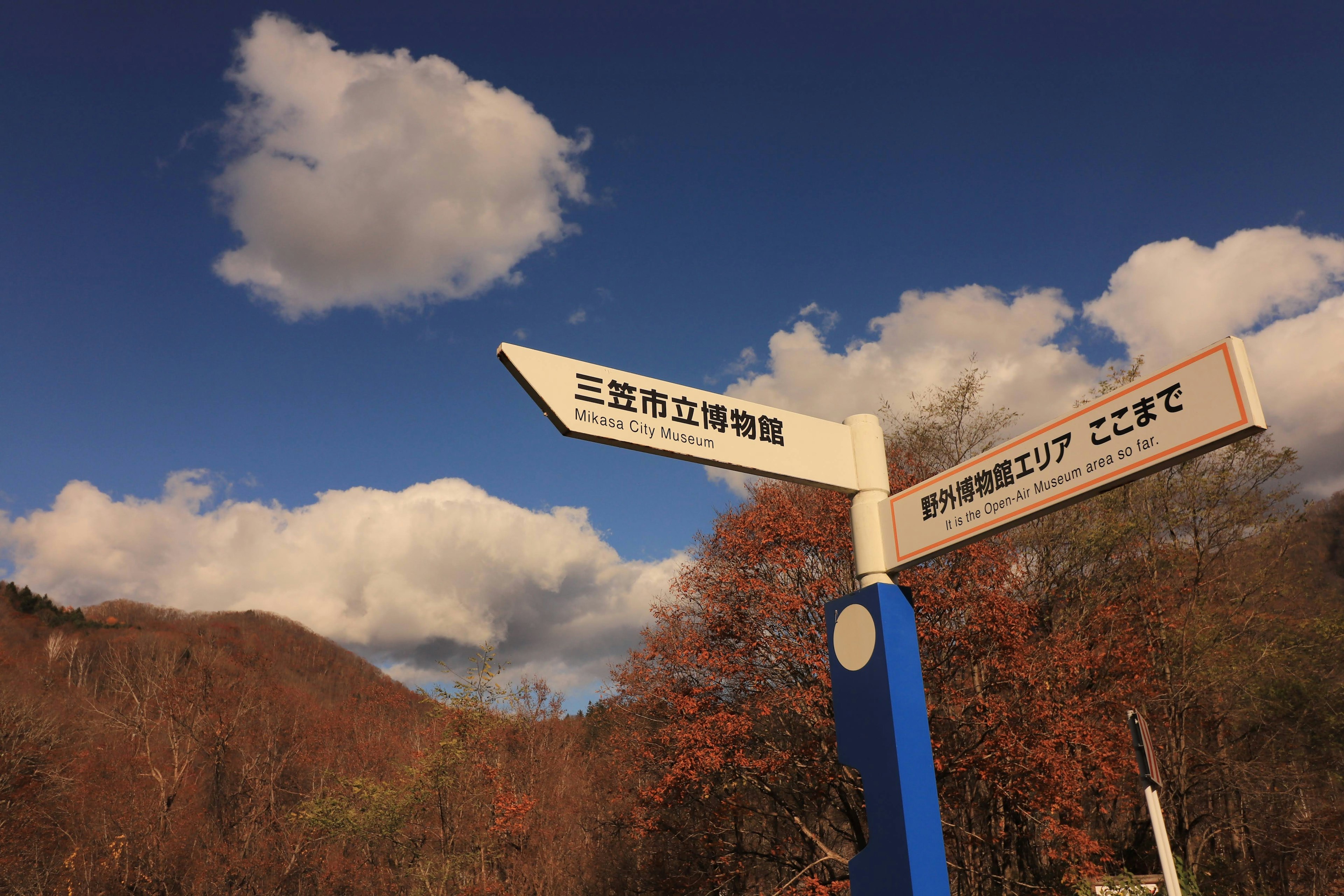 Directional sign with autumn foliage against a blue sky and clouds