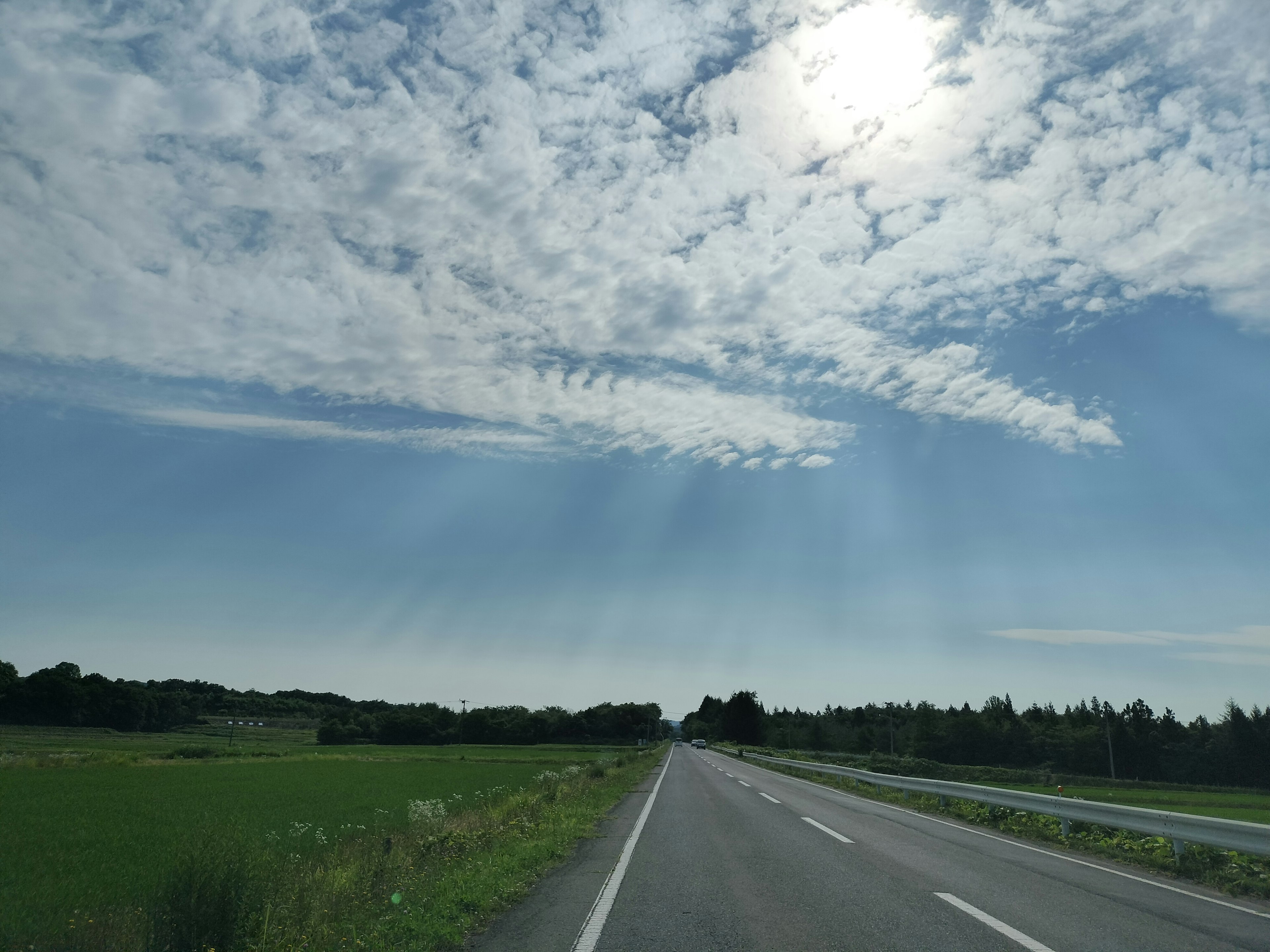 青空と雲が広がる道路の風景緑の草原と遠くの森が見える