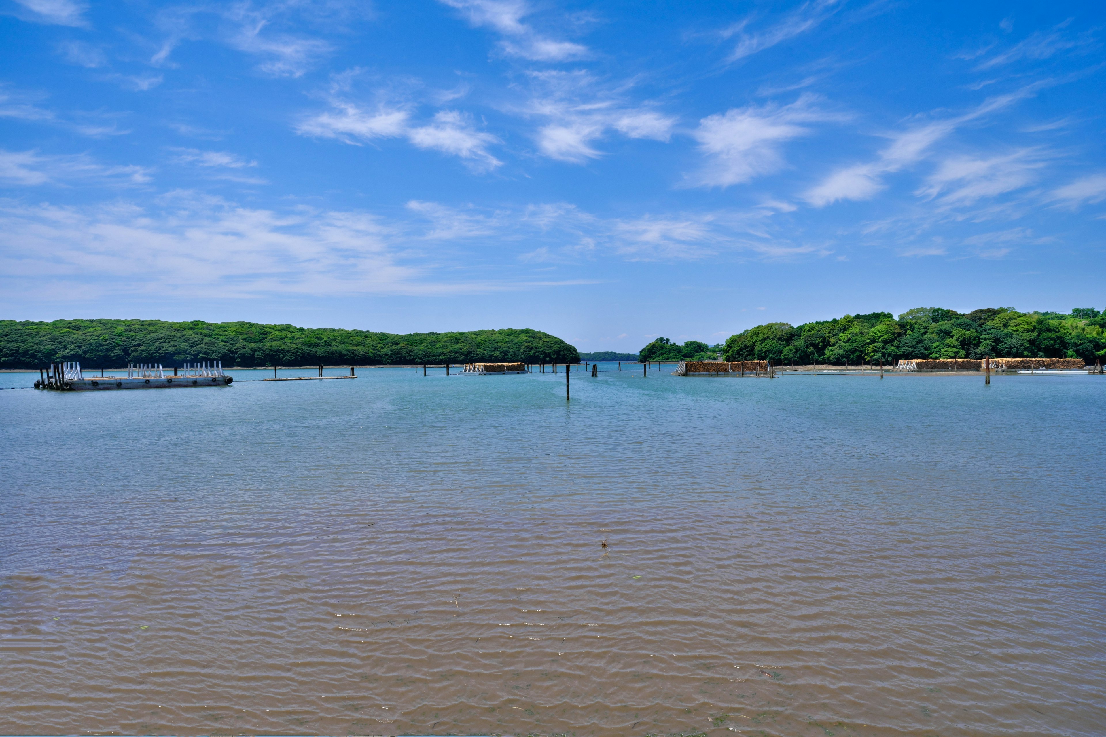 Scenic view of a calm waterbody with green trees and blue sky