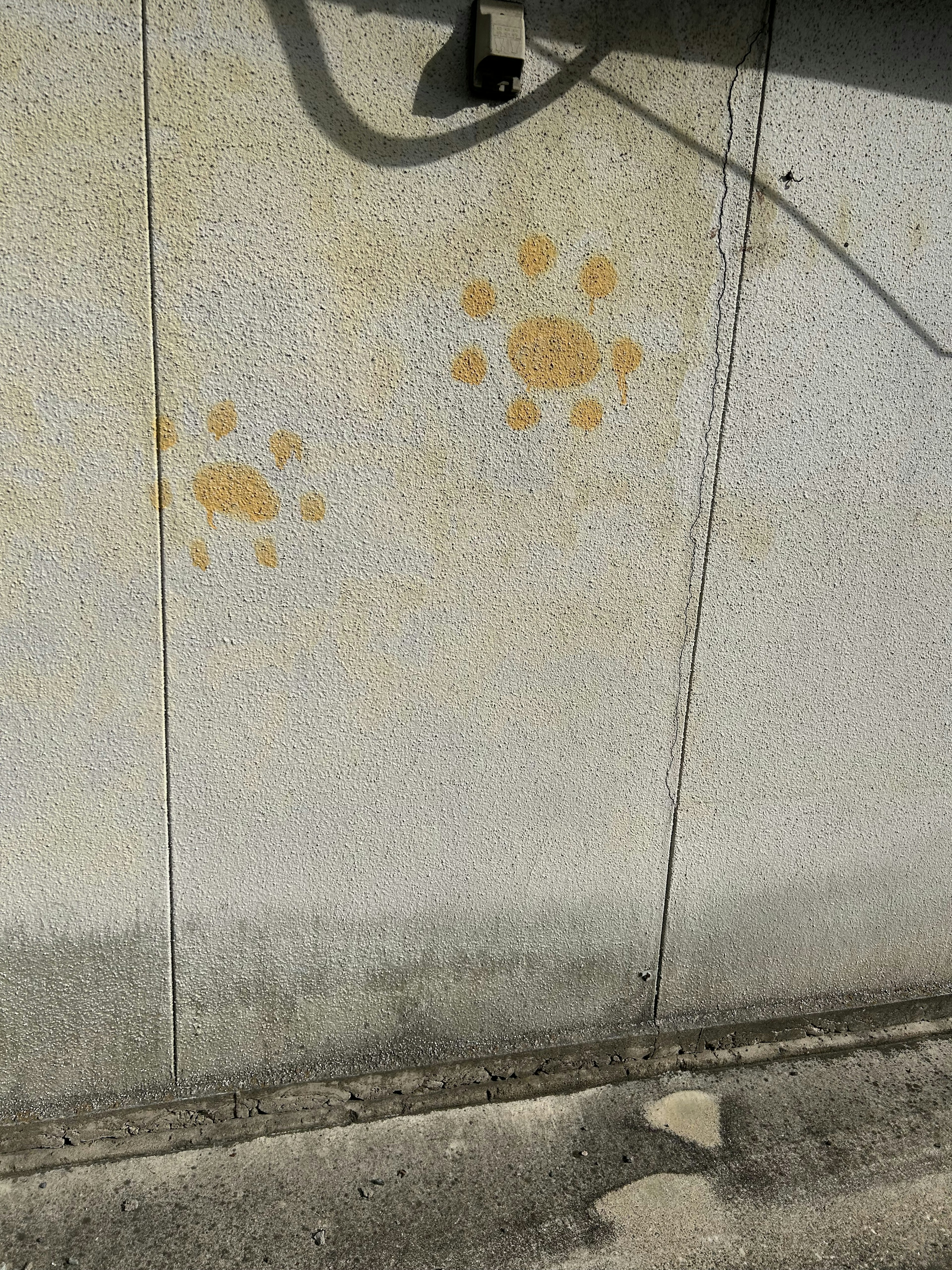 Verblasste Tierpfotenabdrücke an einer Wand